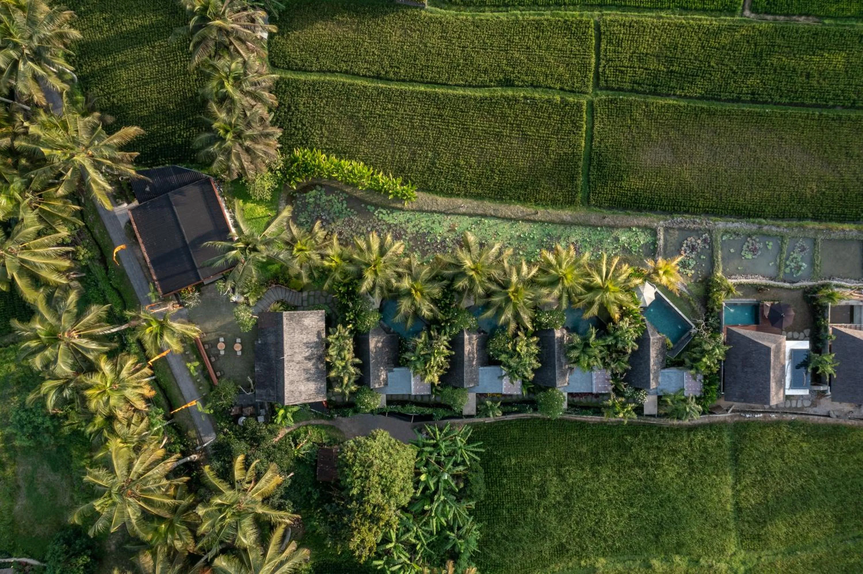 Property building in Lasamana Villas Ubud by GenuineHost