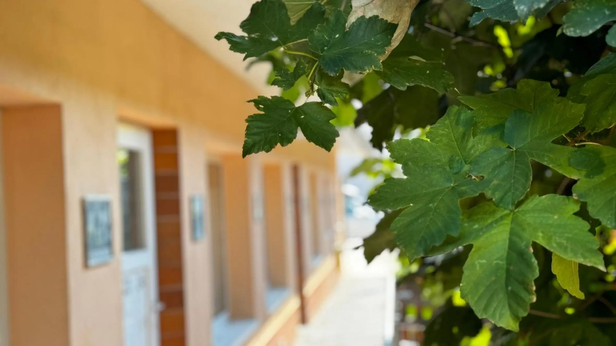 Facade/entrance in Rhein-Hotel Nierstein
