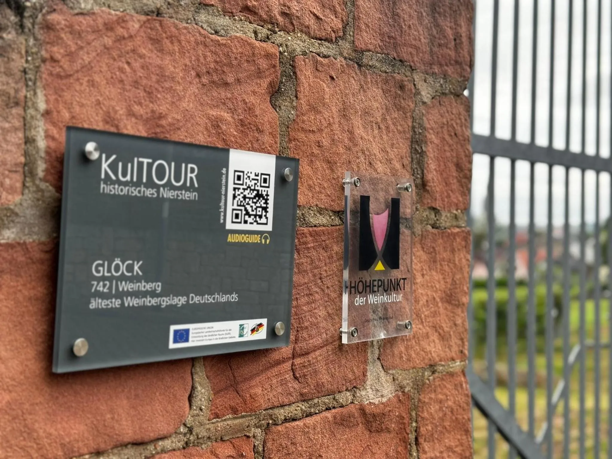 Activities in Rhein-Hotel Nierstein