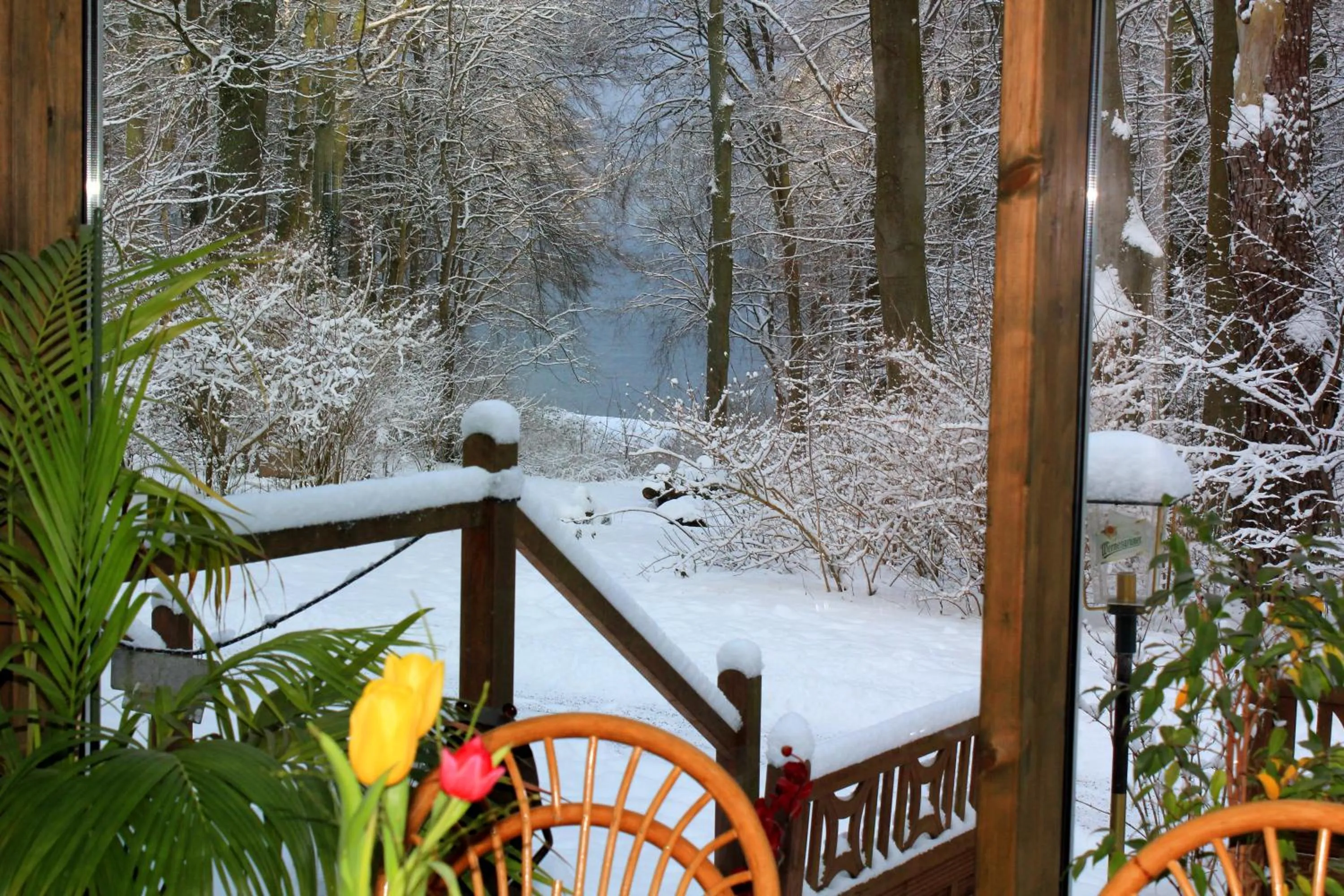 Winter in Kurhaus Devin