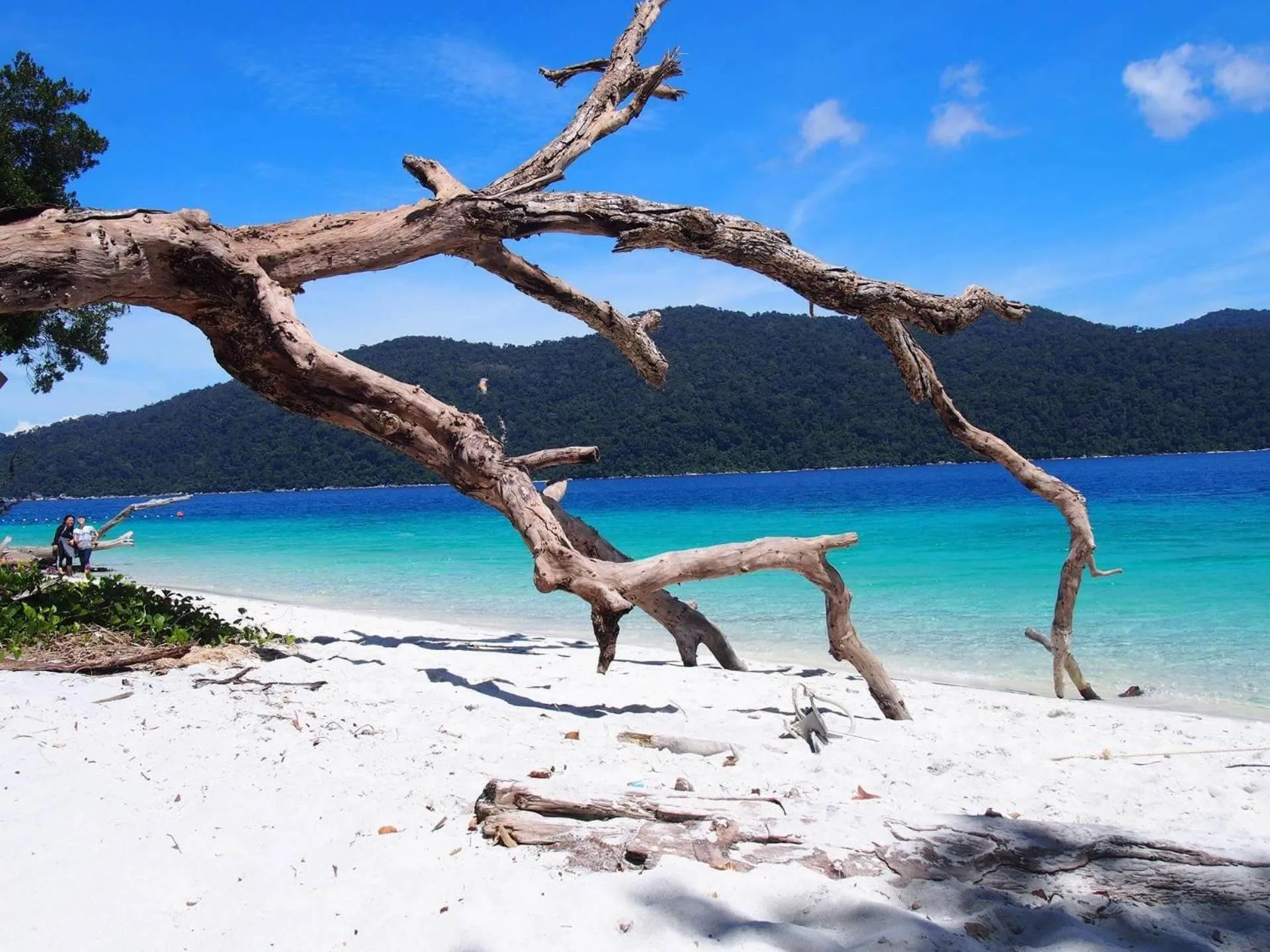 DAYA Beach, Lipe local