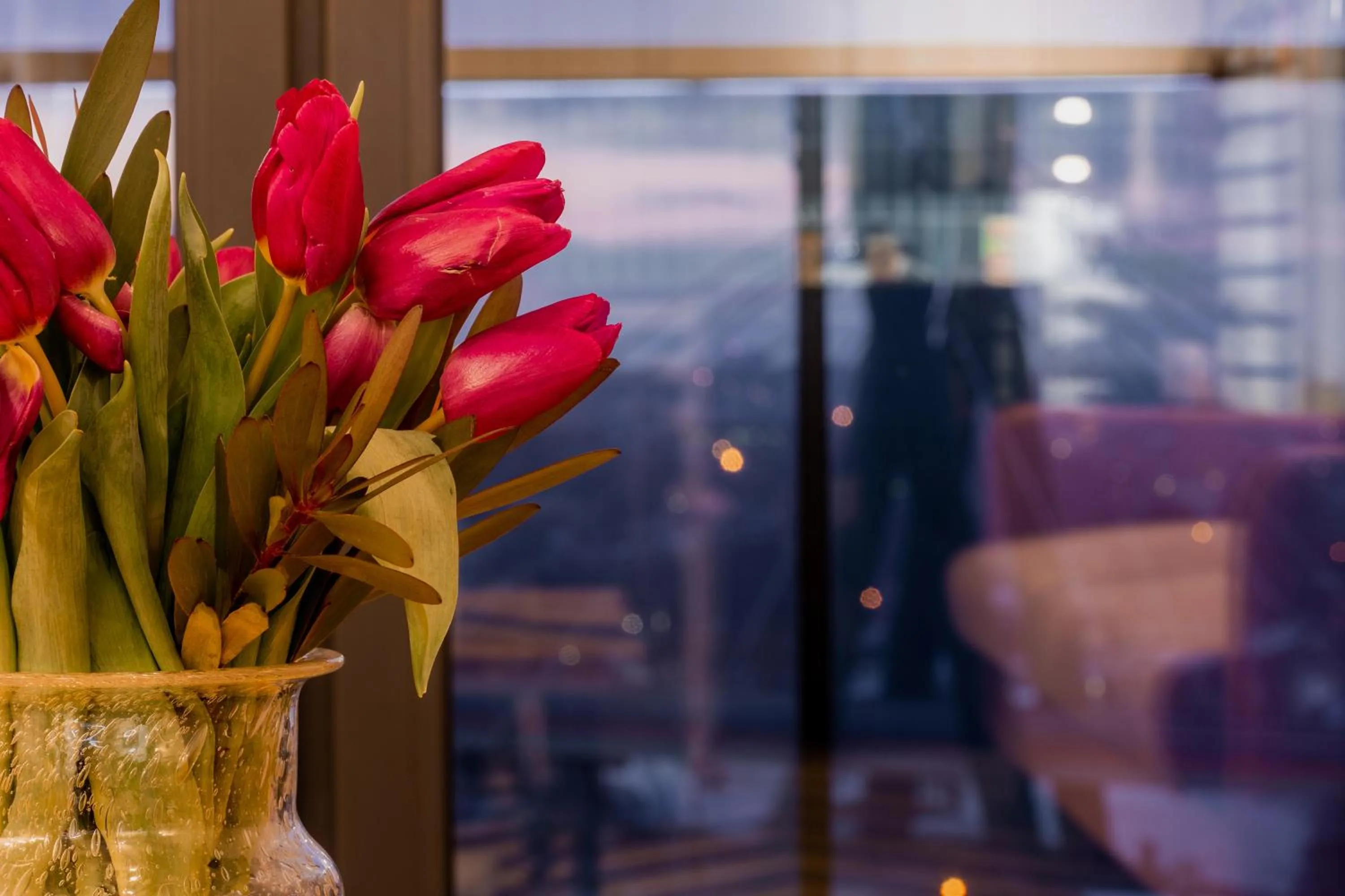 E&A Royal Luxury Apartments, Bydgoszcz - SKYLINE