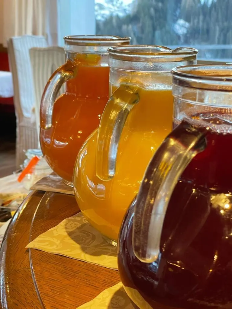 Food and drinks in Pension Dolomieu