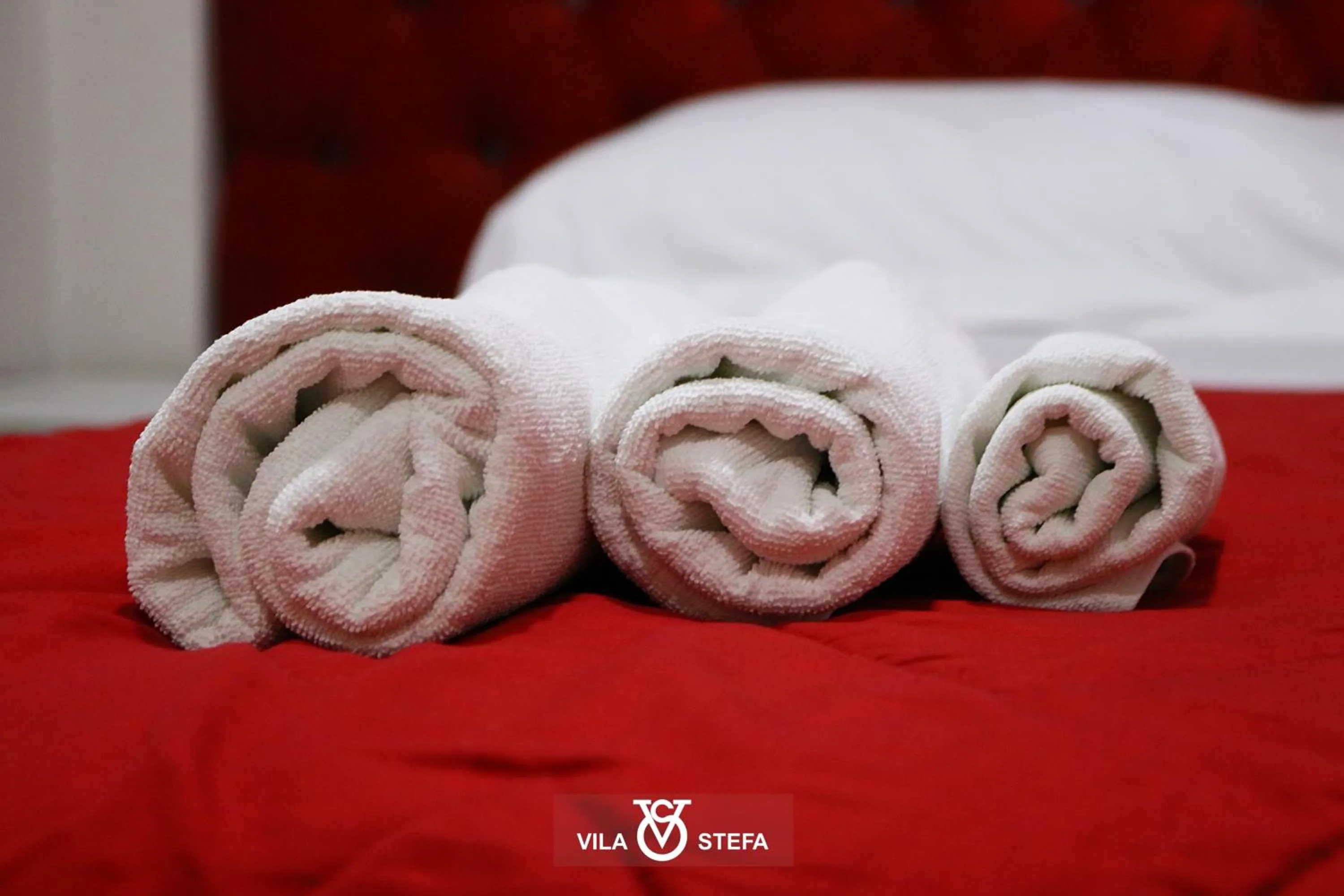 Bed in Hotel Vila Stefa