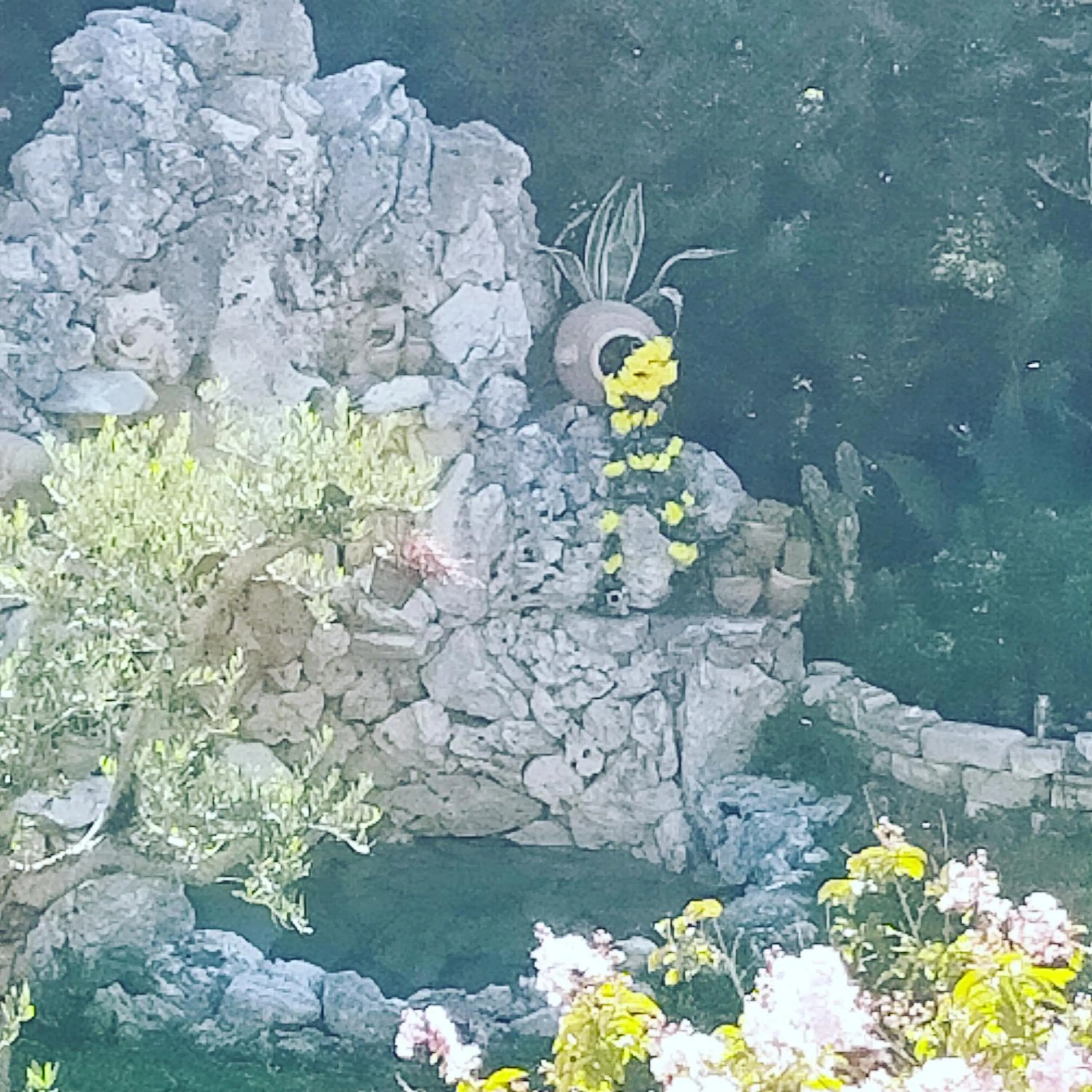 B&B il giardino di Eolo