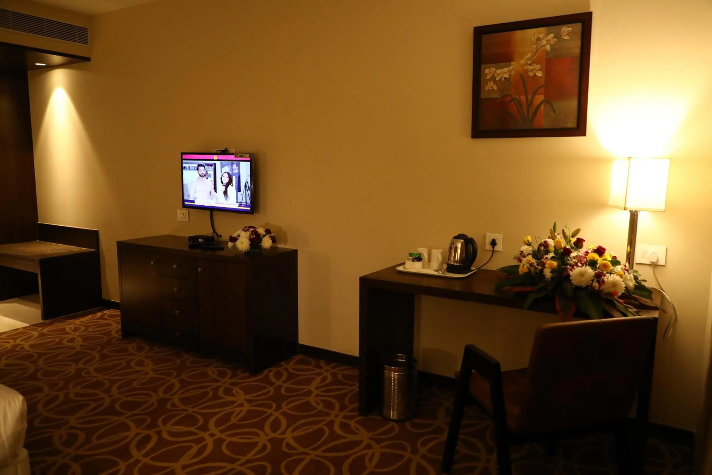 TV and multimedia in YN Hotels