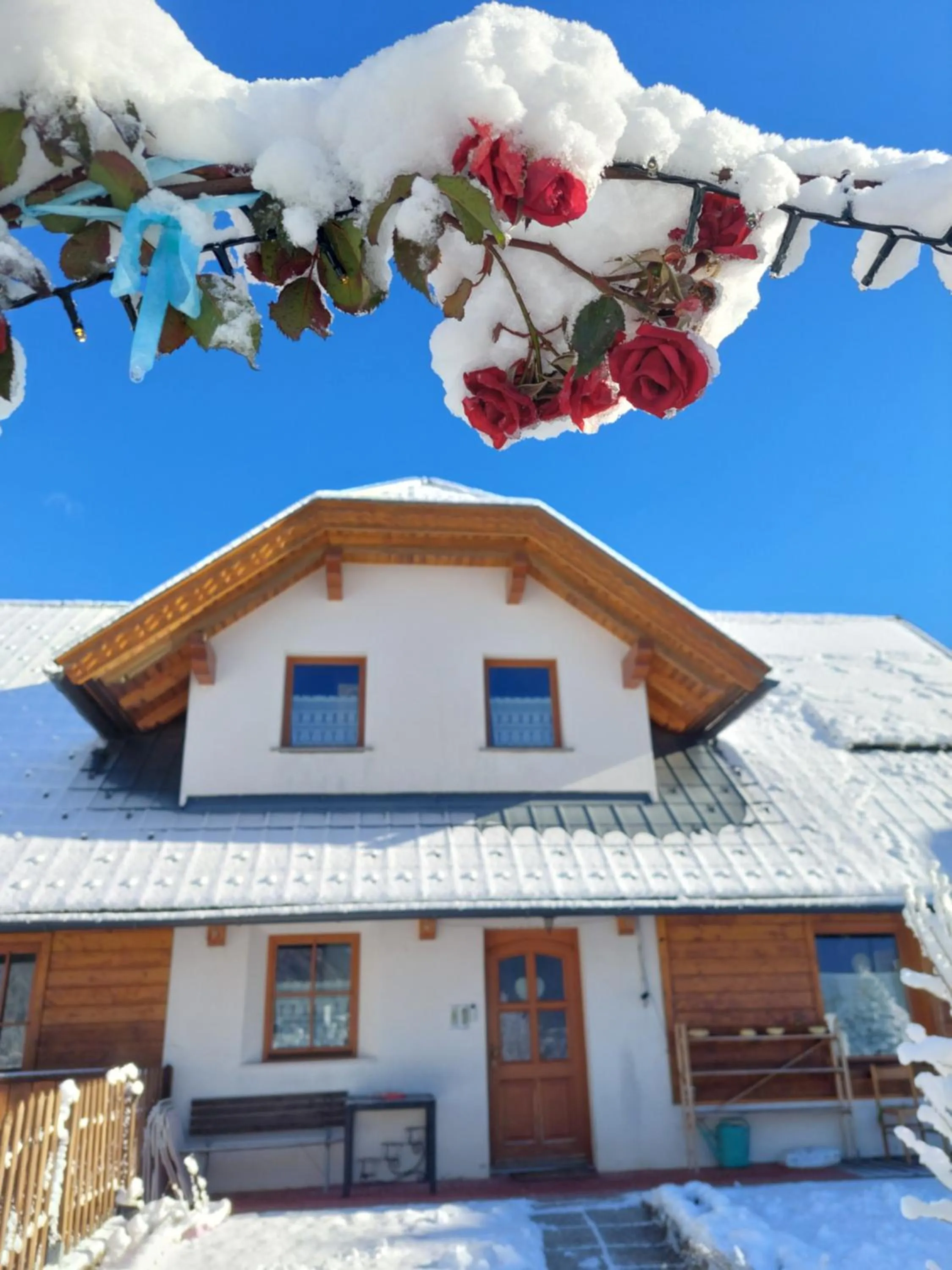 Al sentiero di Charly