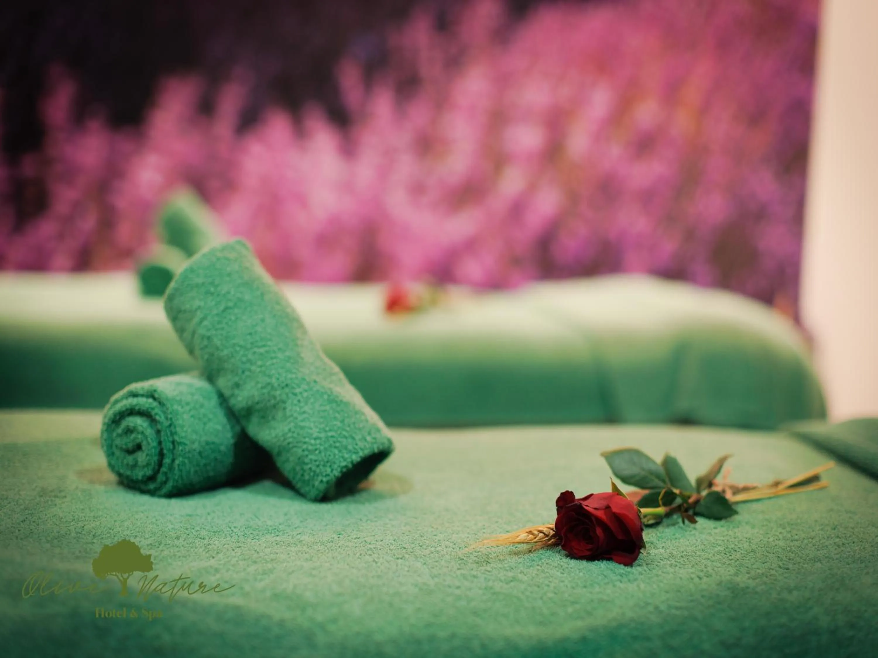 Olive Nature Hotel & SPA - Quinta Valle de Passos