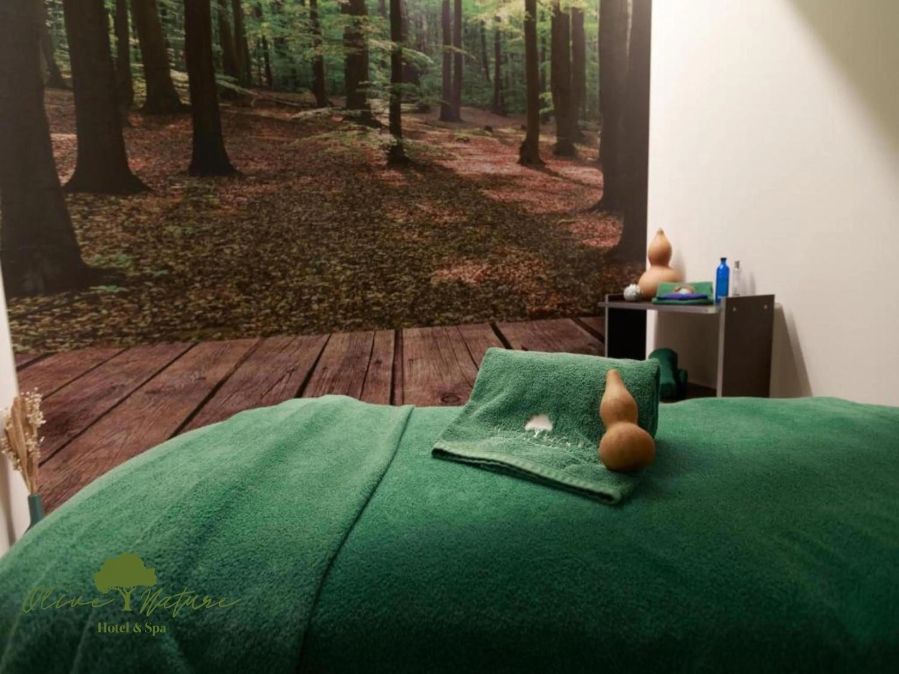 Massage in Olive Nature Hotel & SPA - Quinta Valle de Passos