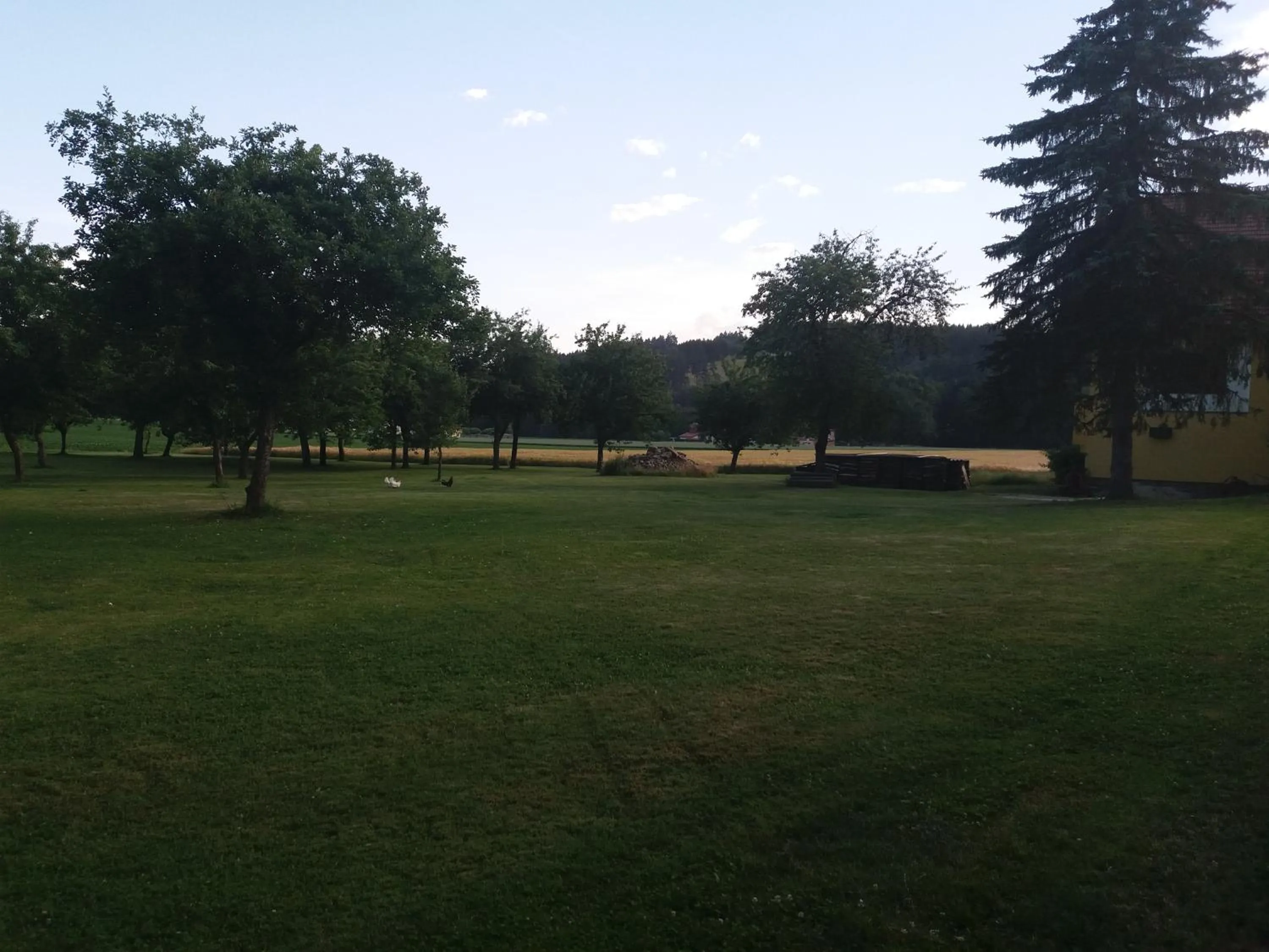 Garden in Dachberghof