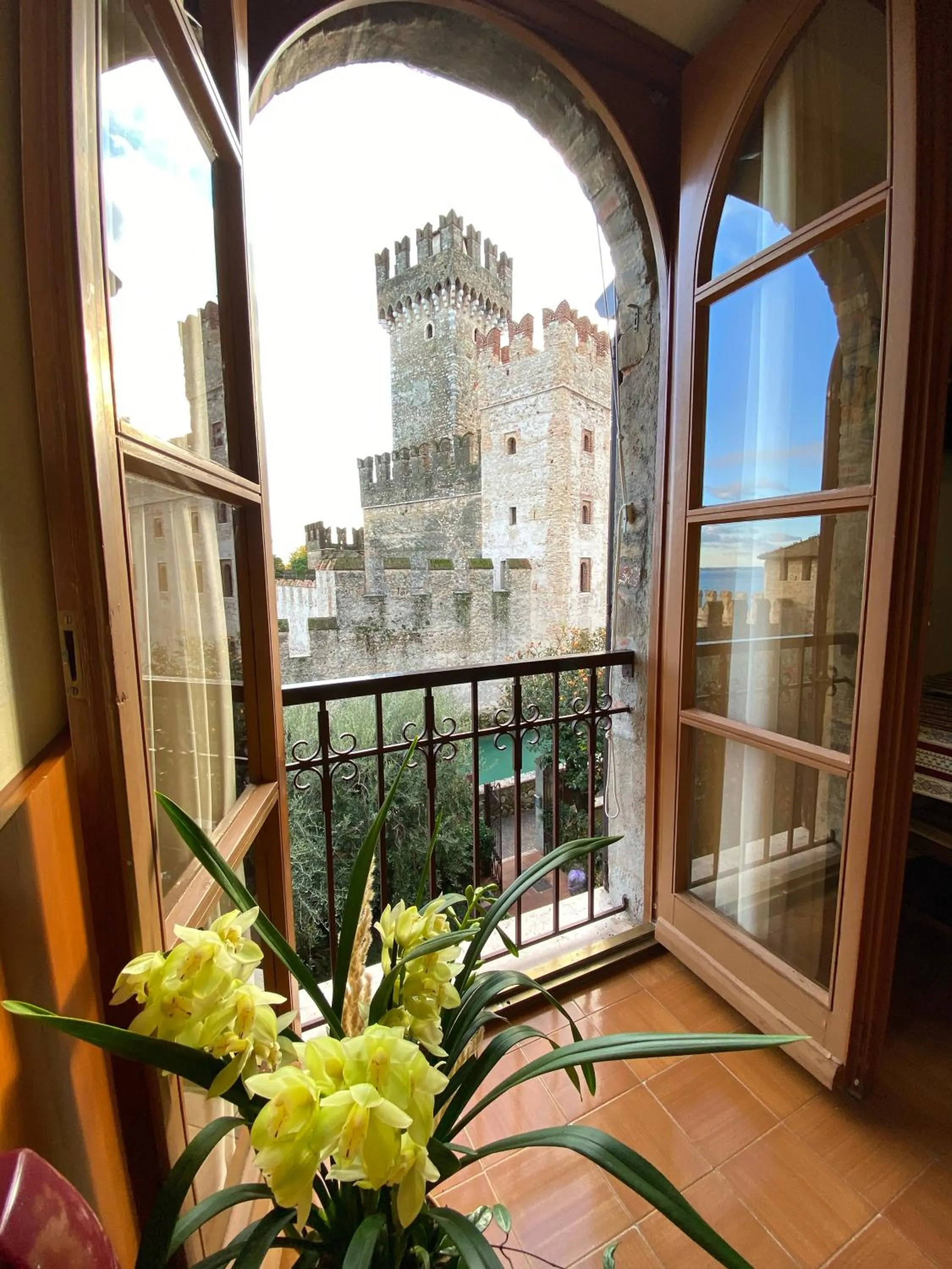 Garden view in Hotel Grifone