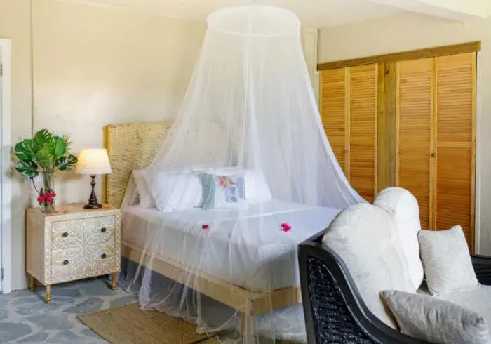 Superior Queen Room in Green Fig Resort & Spa Superior Queen Room in Green Fig Resort & Spa