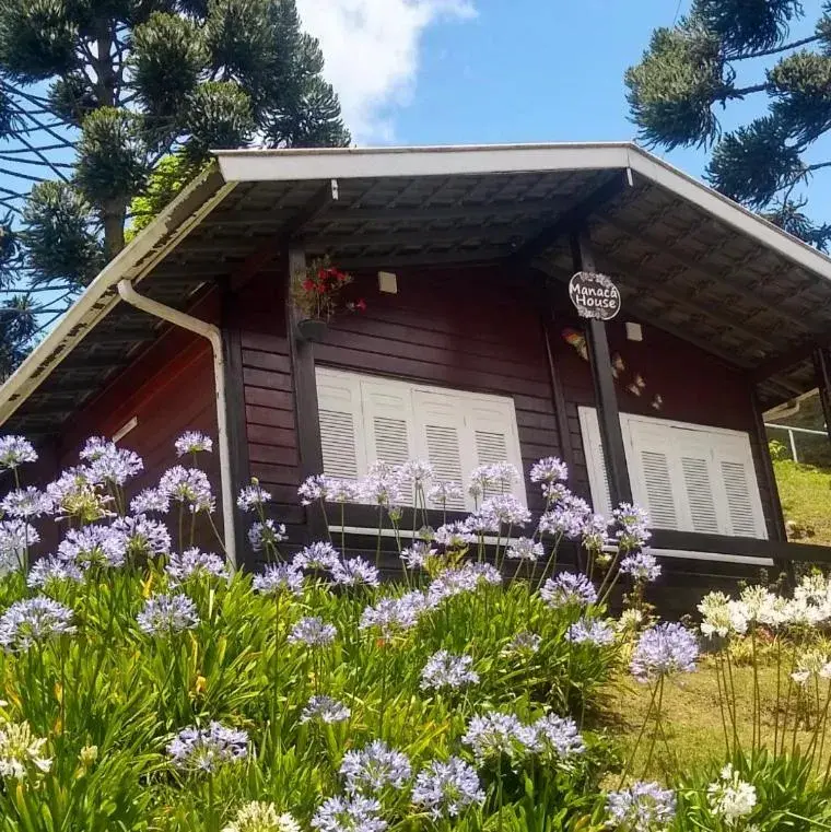 Chalé Manacá House Chalé Manacá House