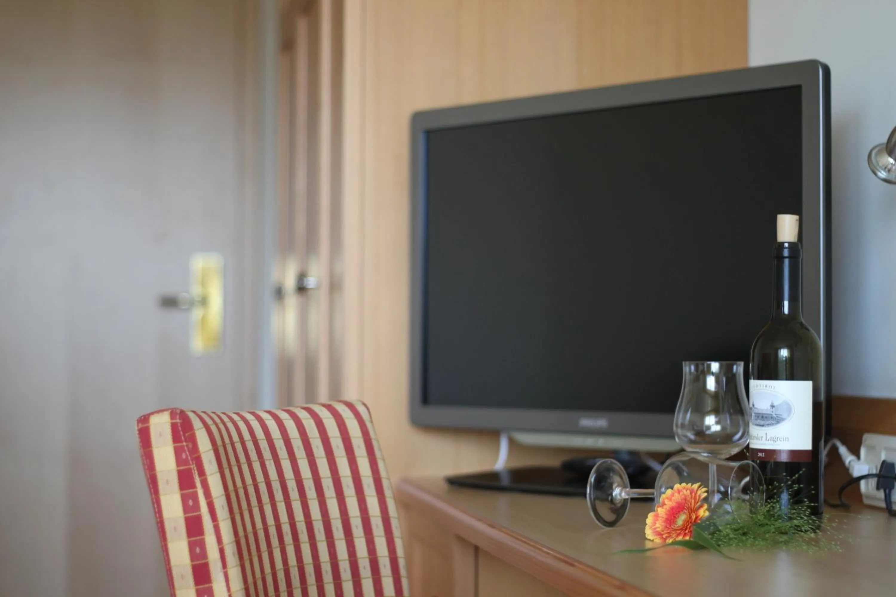 TV and multimedia in Airport-Hotel Fortuna