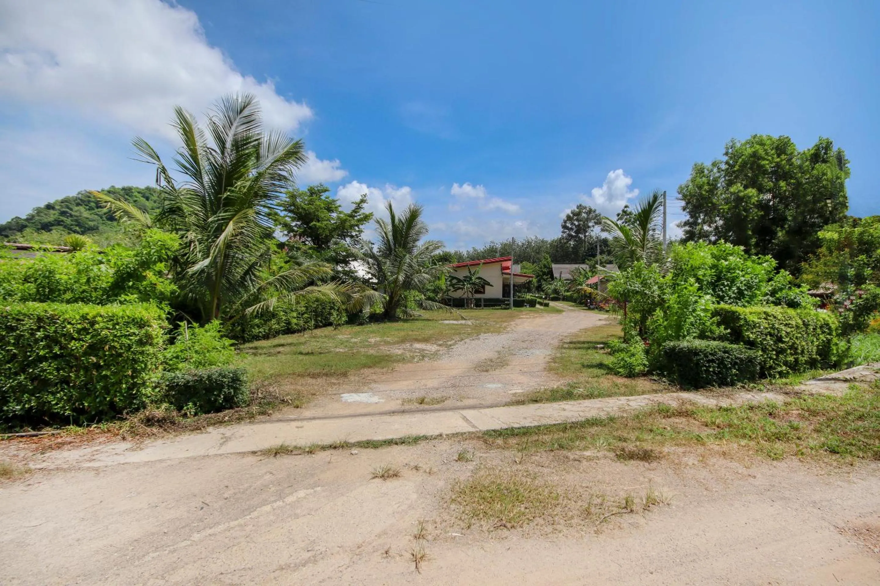 Garden in Napas House