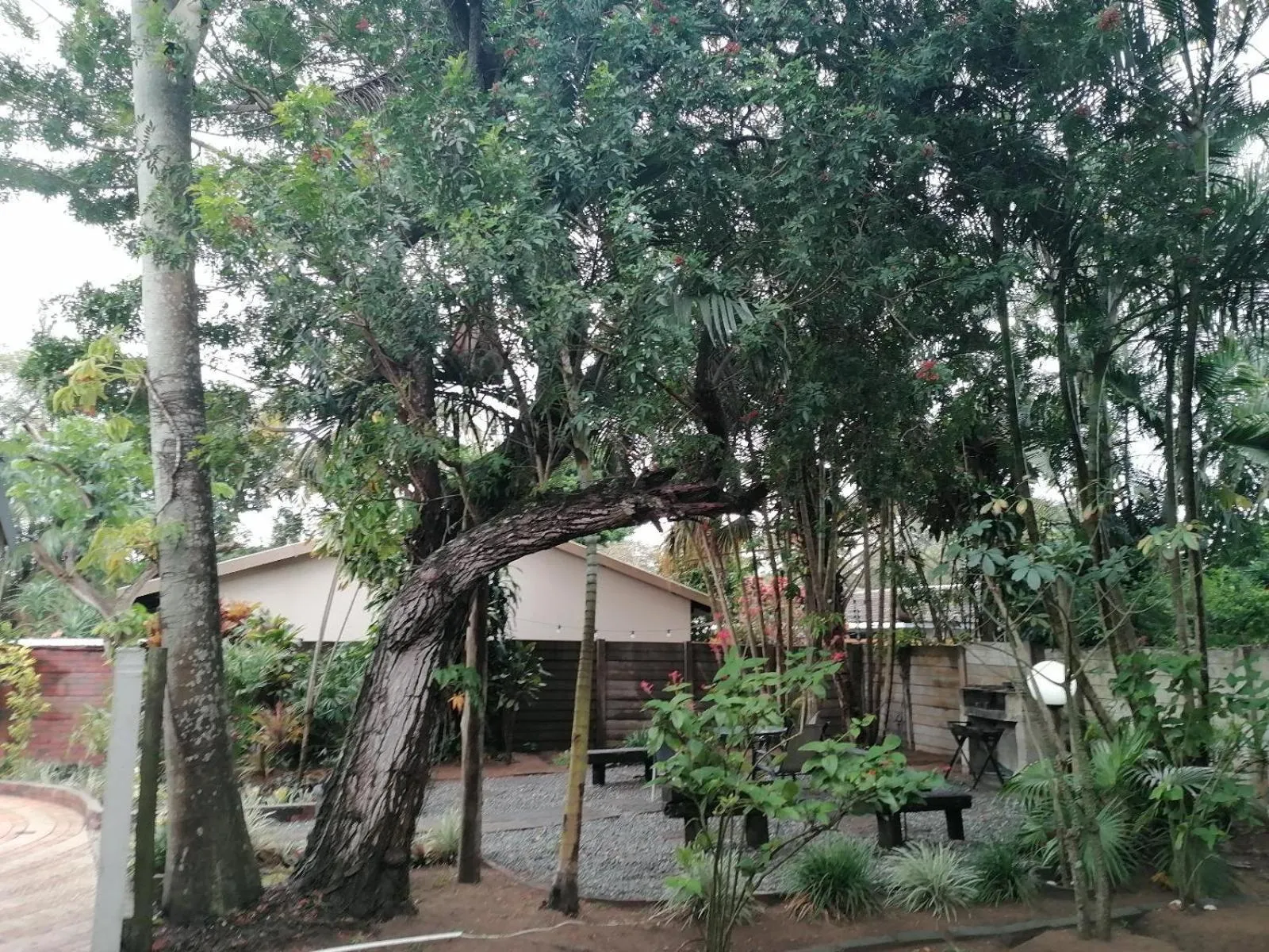 Garden view in Nqabanqaba