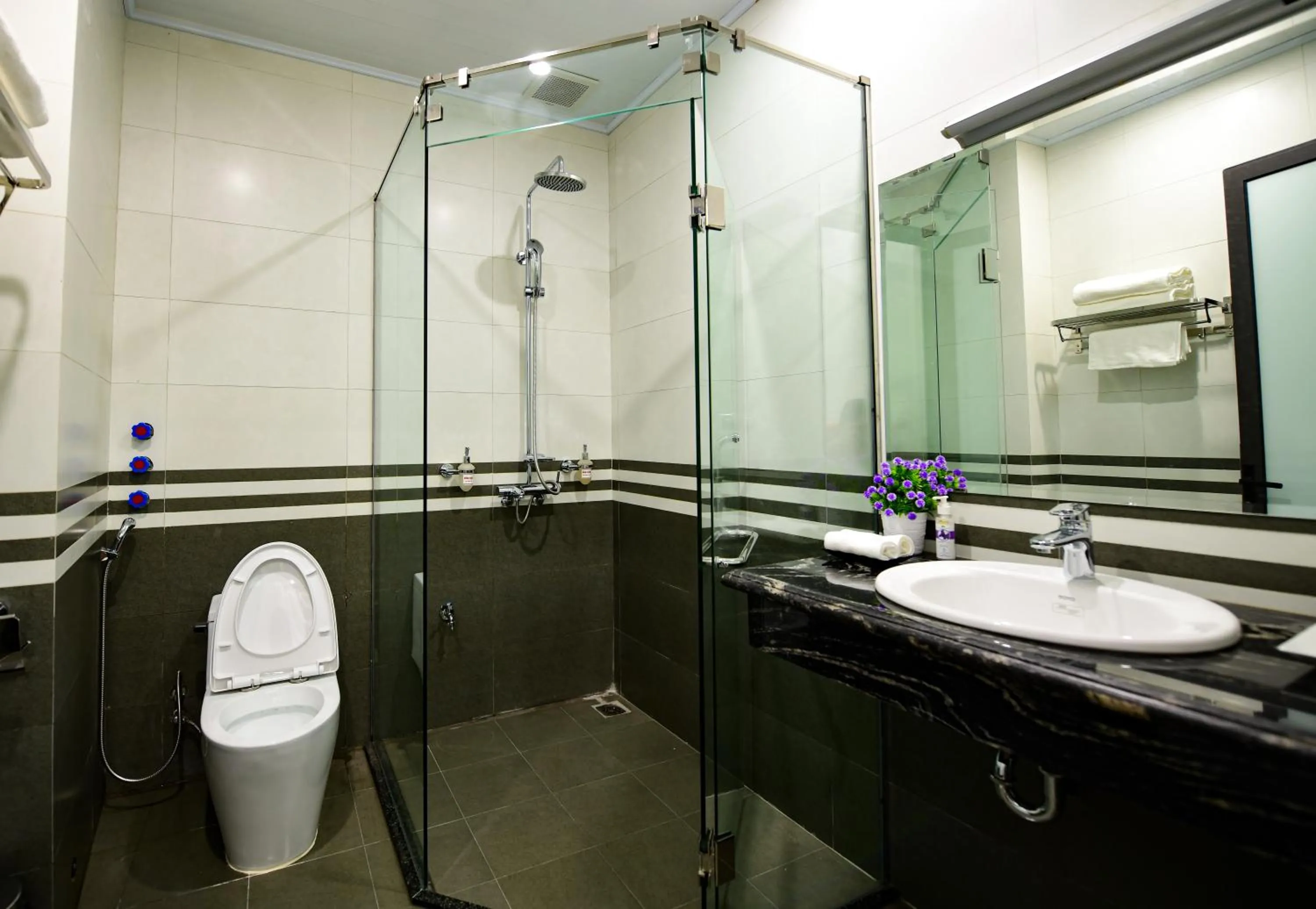 Shower in Airport Classic Hotel & Travel