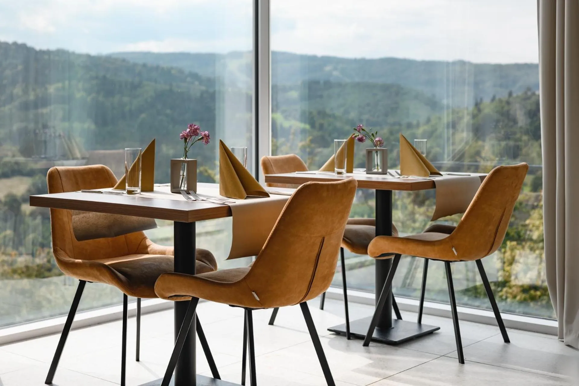 Restaurant/places to eat in Crystal Mountain Hotel Wisła