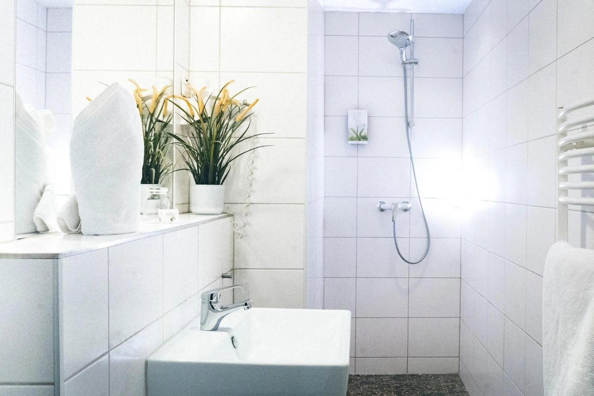 Shower in Gartenstadt Hotel