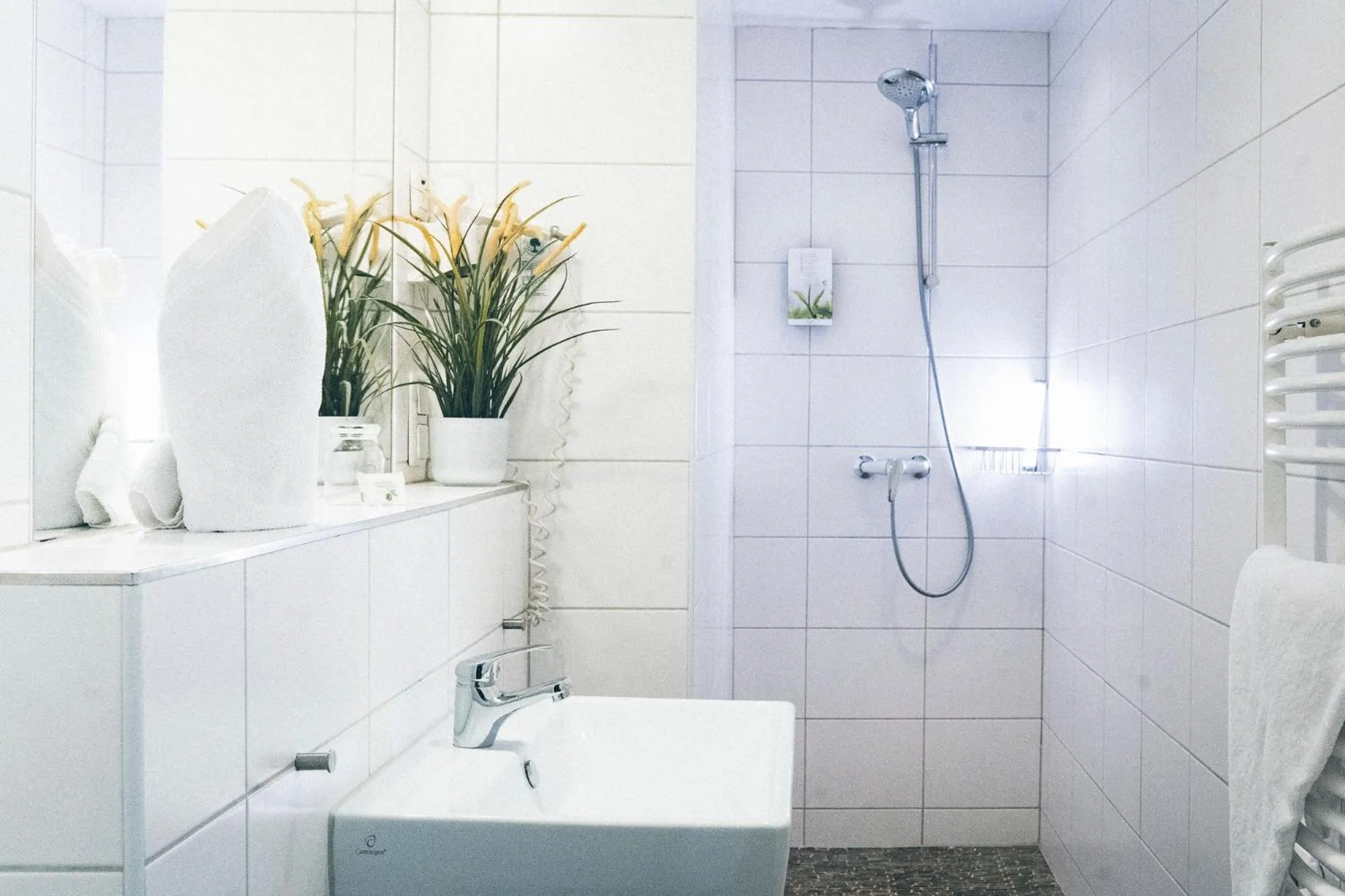 Shower in Gartenstadt Hotel