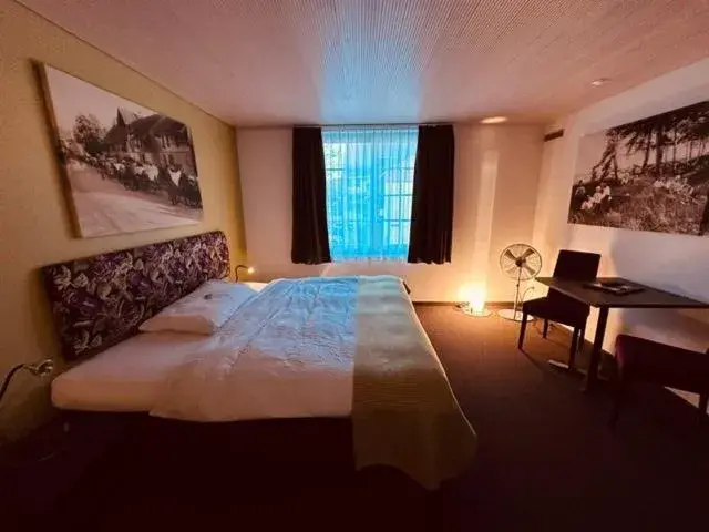 Standard Double Room in Gasthaus Sternen Standard Double Room in Gasthaus Sternen