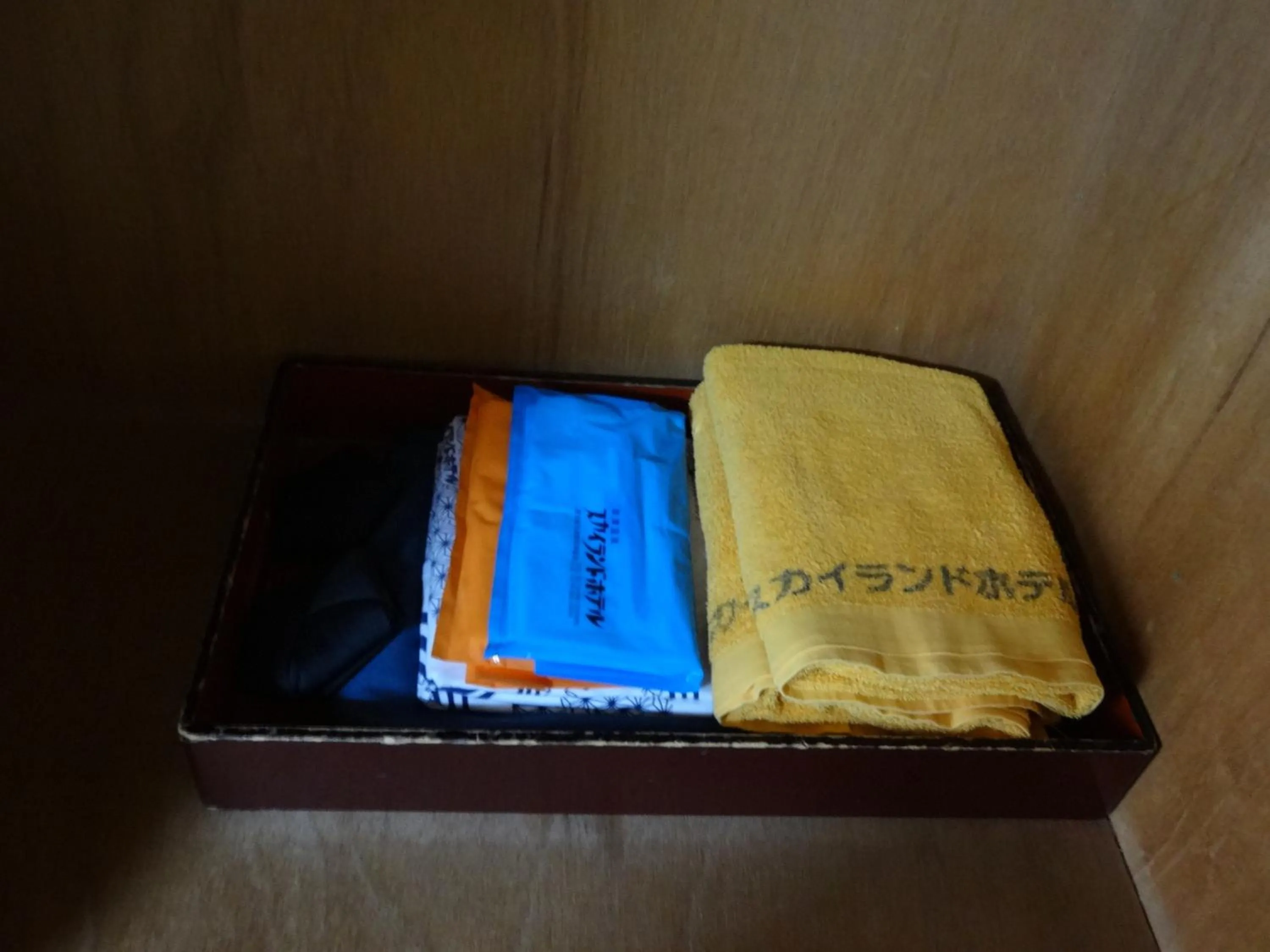 Other in Kusatsu Skyland Hotel