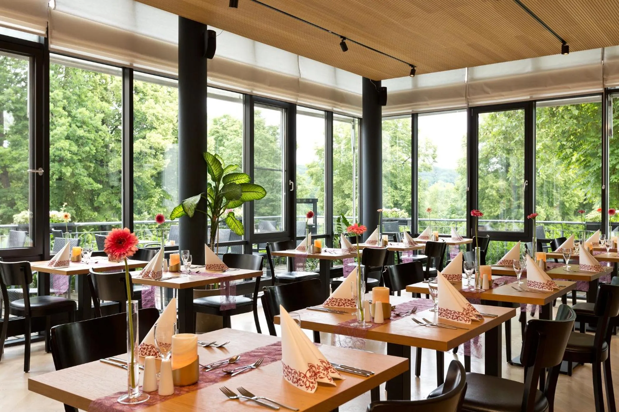 Restaurant/places to eat in Spa Hotel Amsee