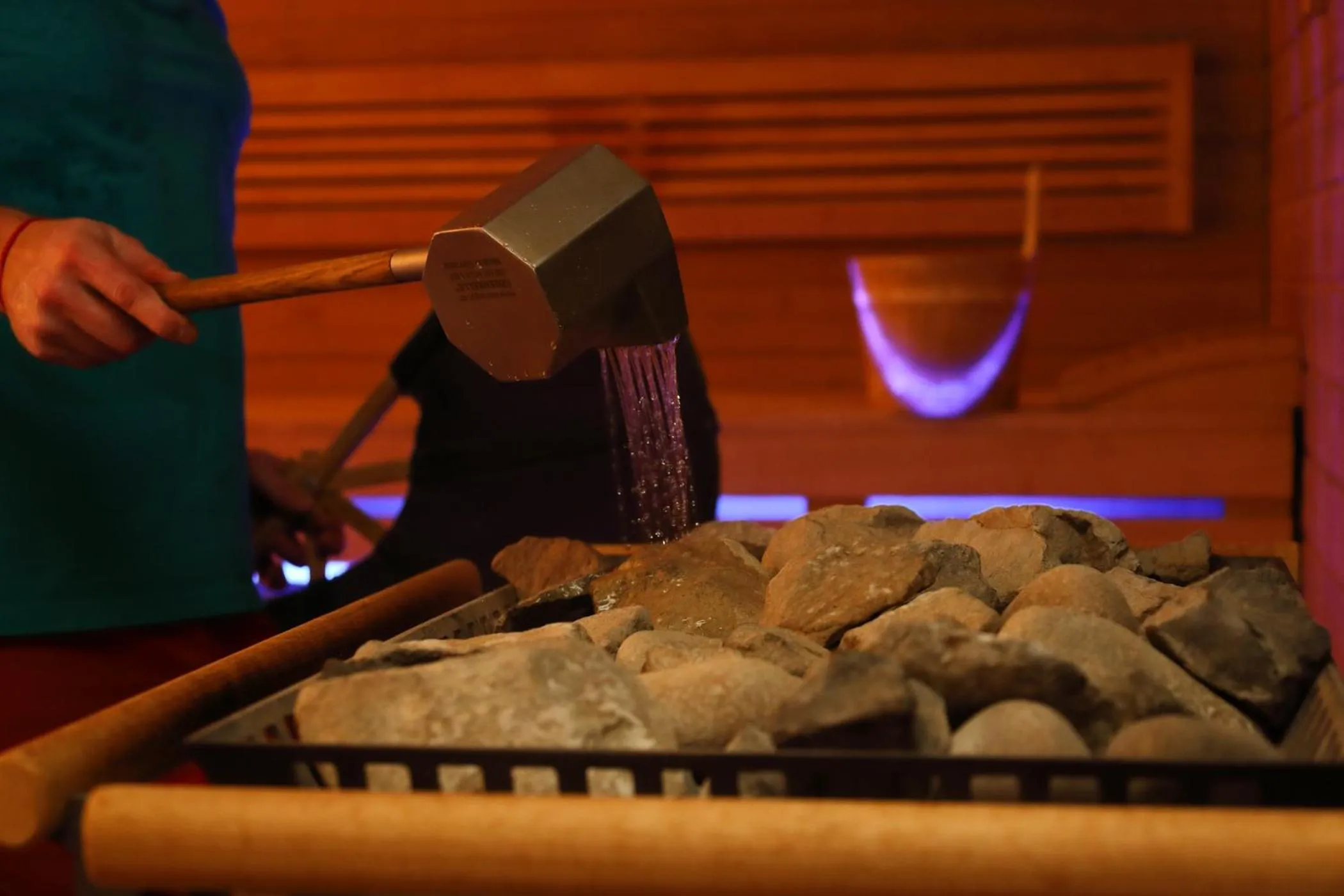 Sauna in Spa Hotel Amsee