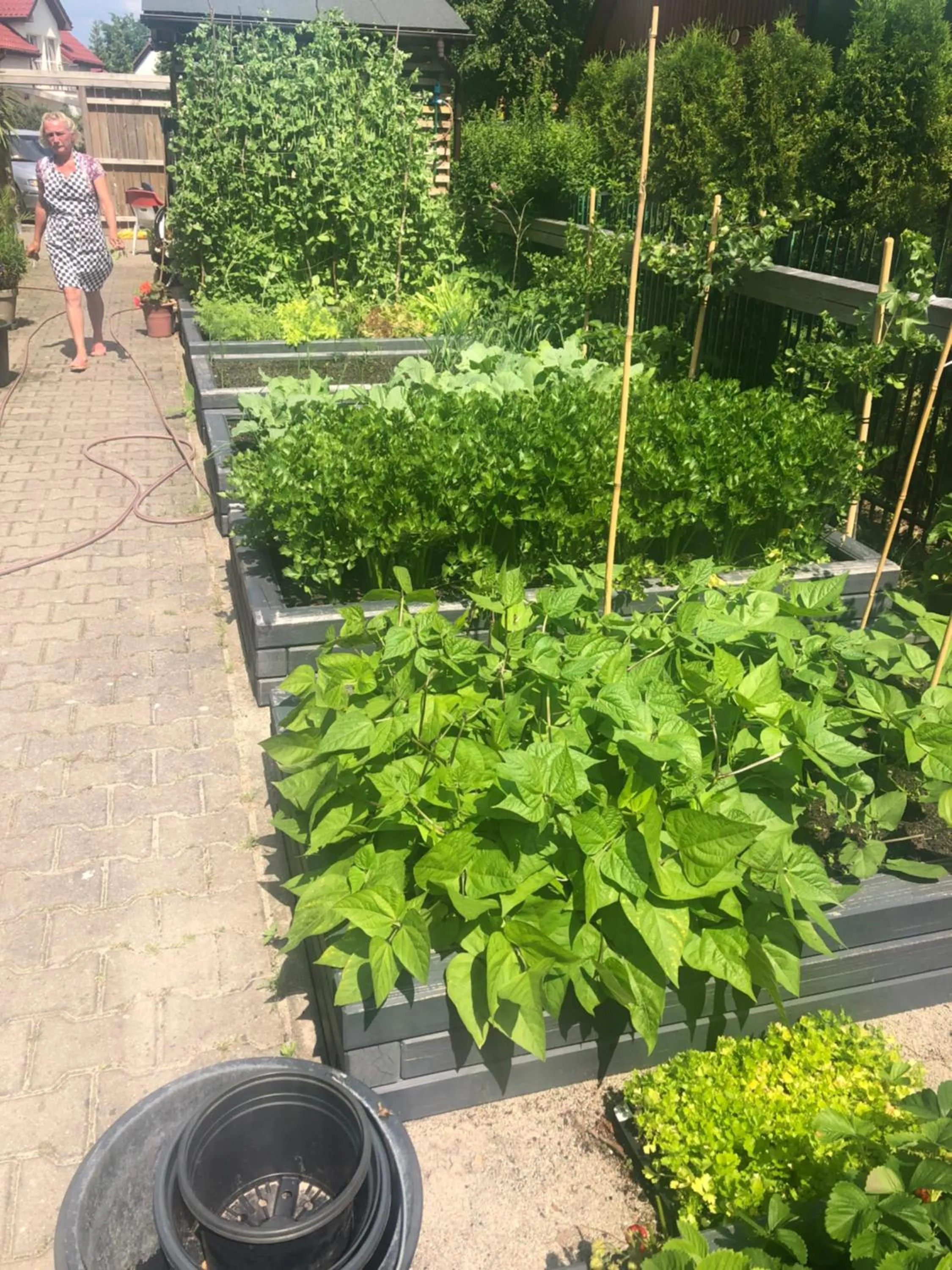 Garden in Pokoje Alina