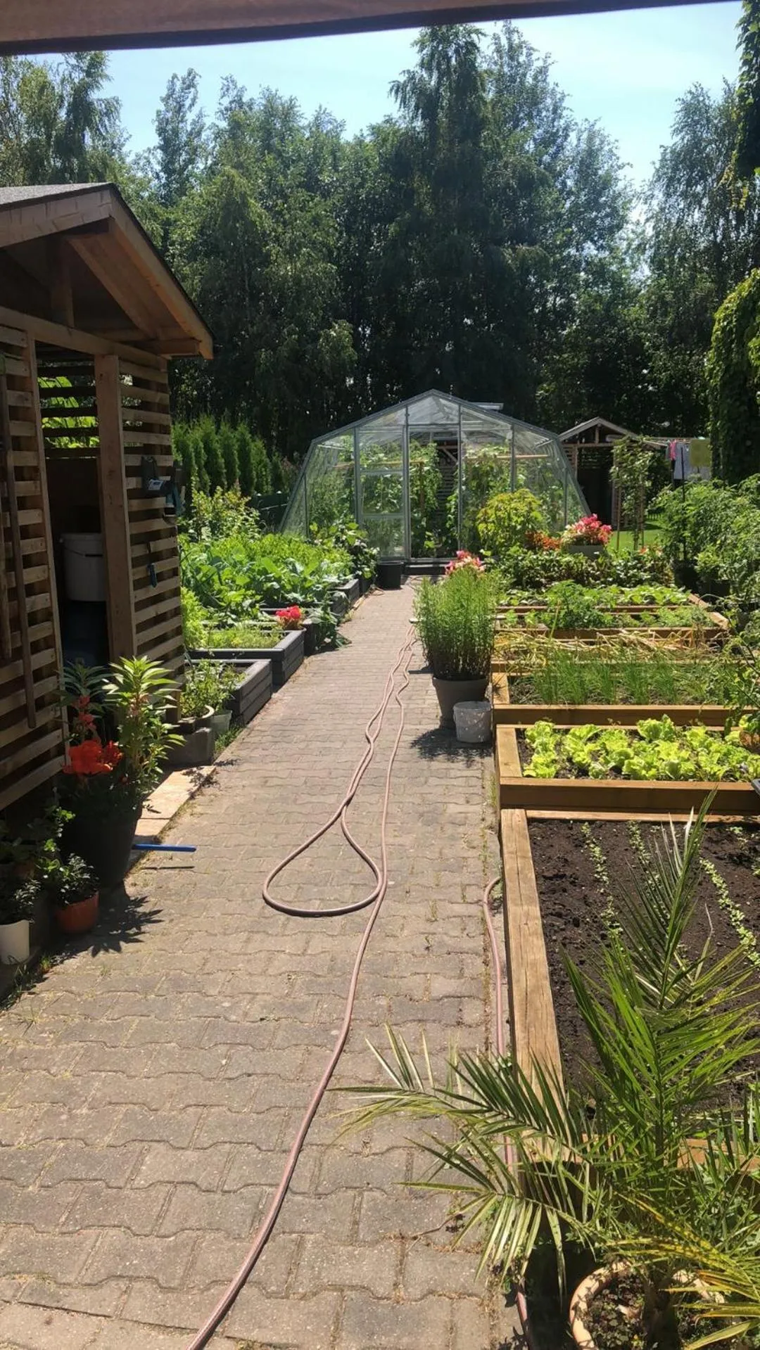 Garden in Pokoje Alina