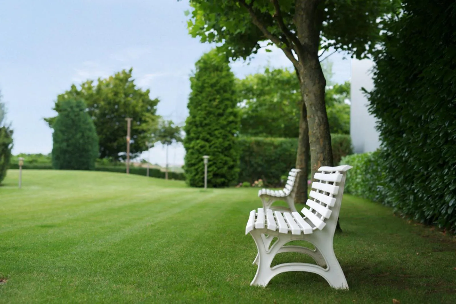Garden in Hotel Zielonka
