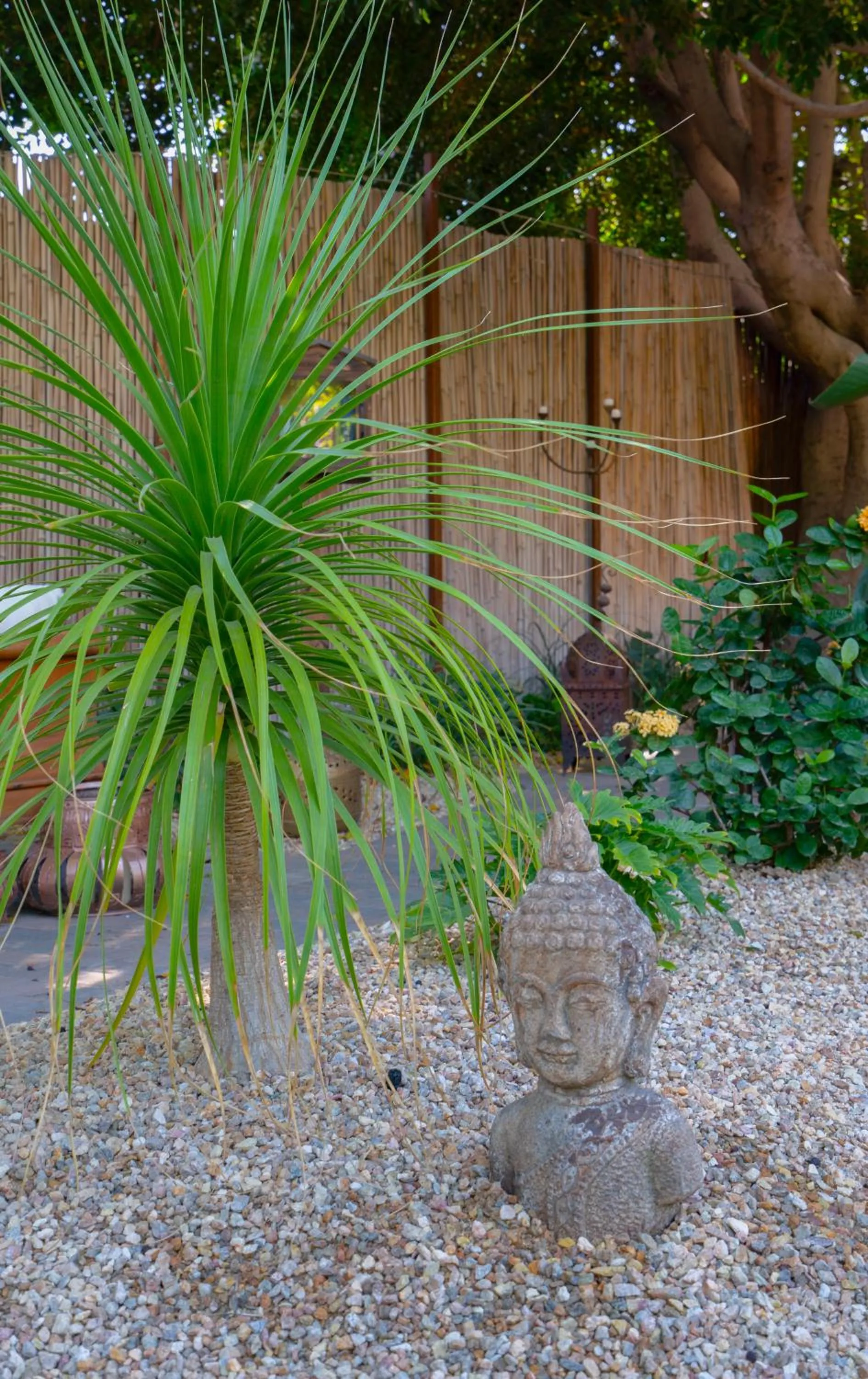 Talavera Palm Springs