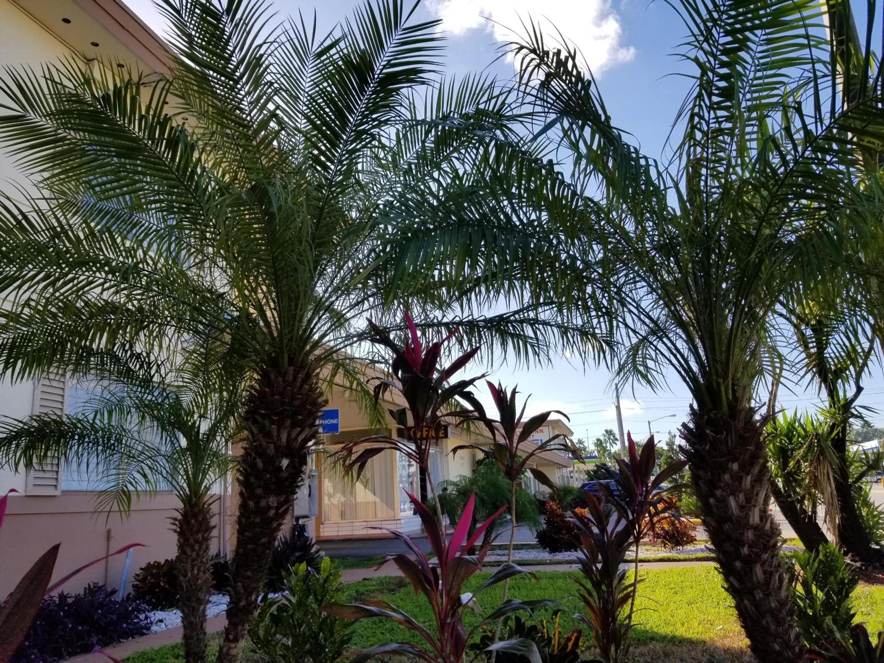 Property building in Parkway Inn