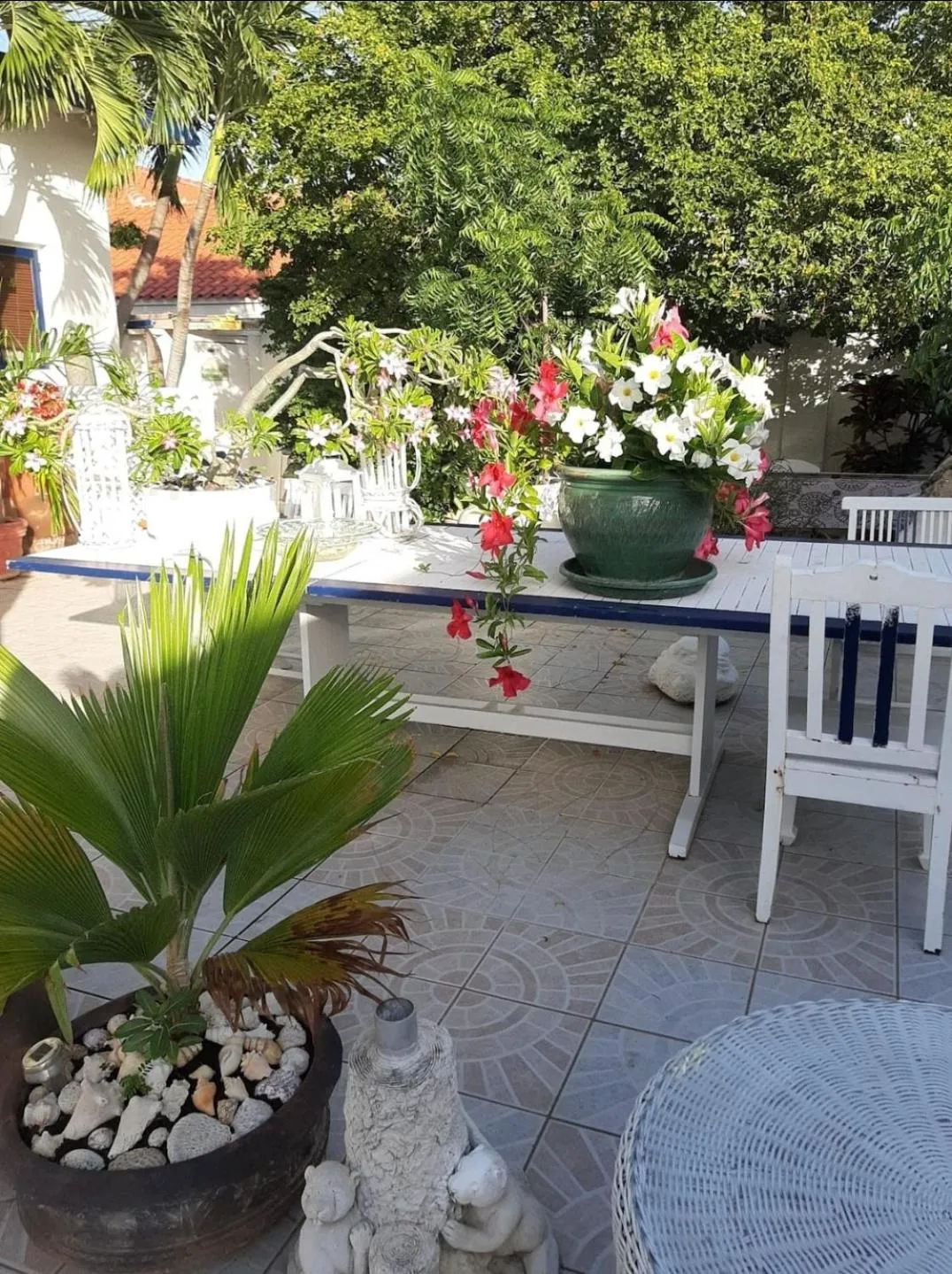 Patio in HARMONY Hotel Hostel Aruba