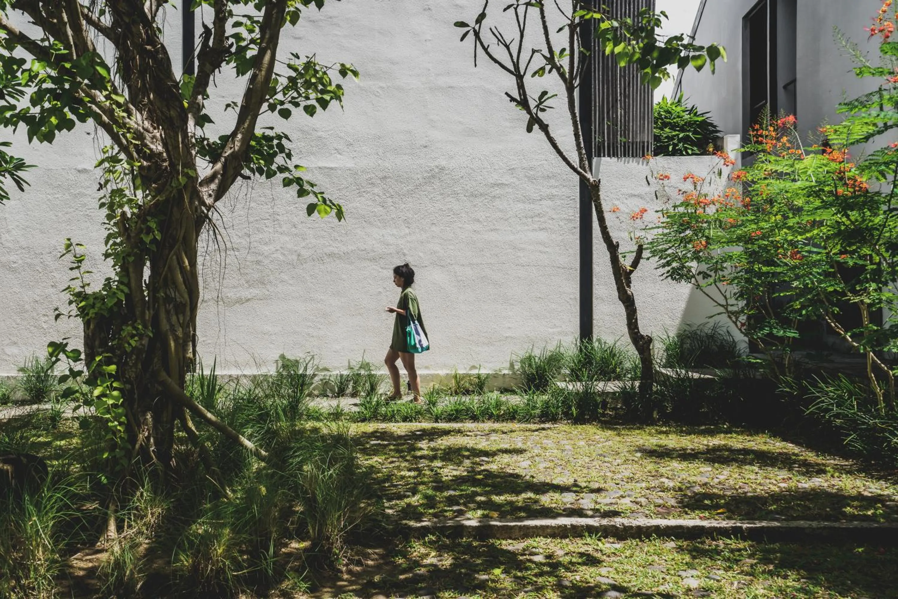 Natural landscape in The Saren