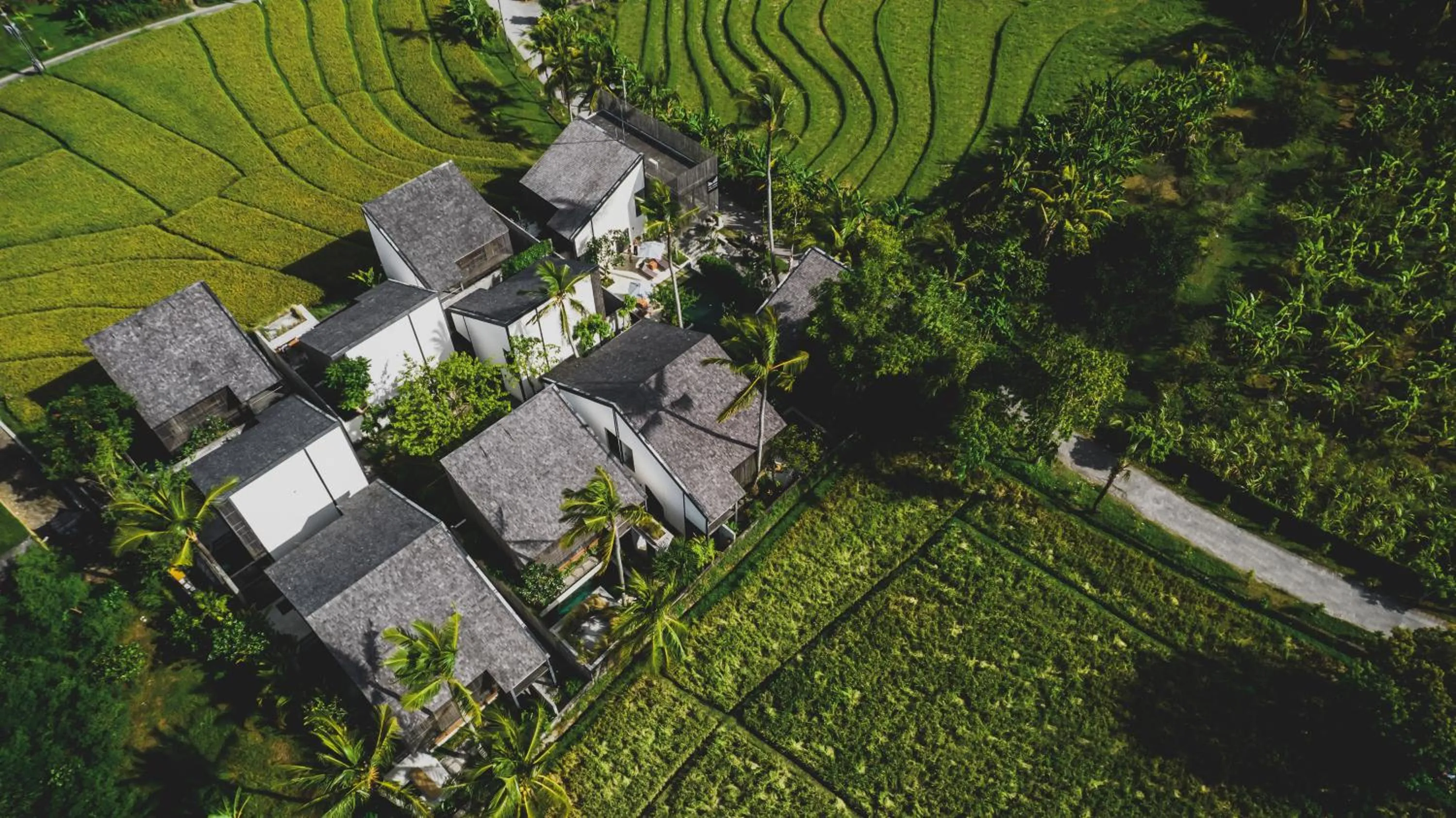 Property building in The Saren