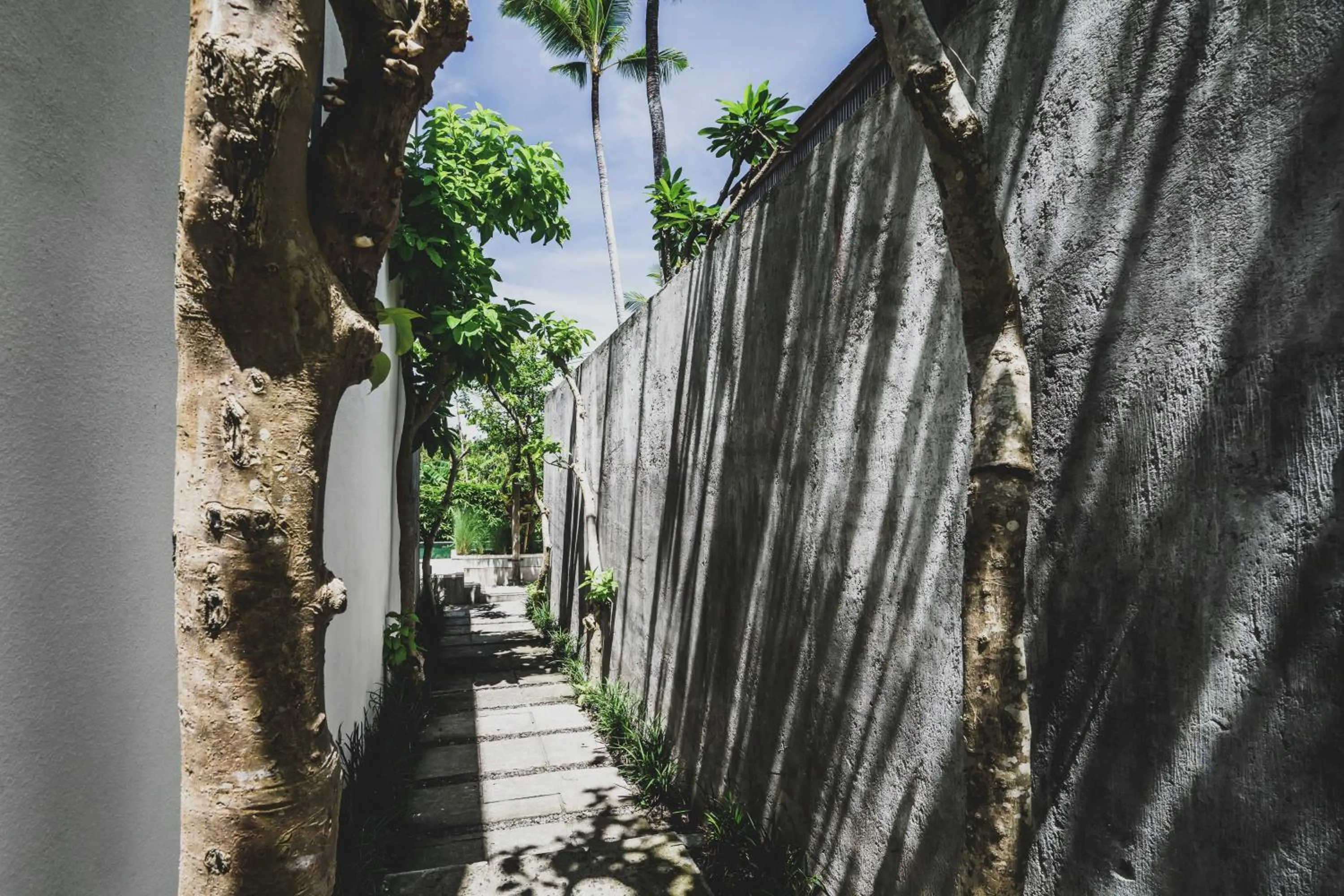 Property building in The Saren