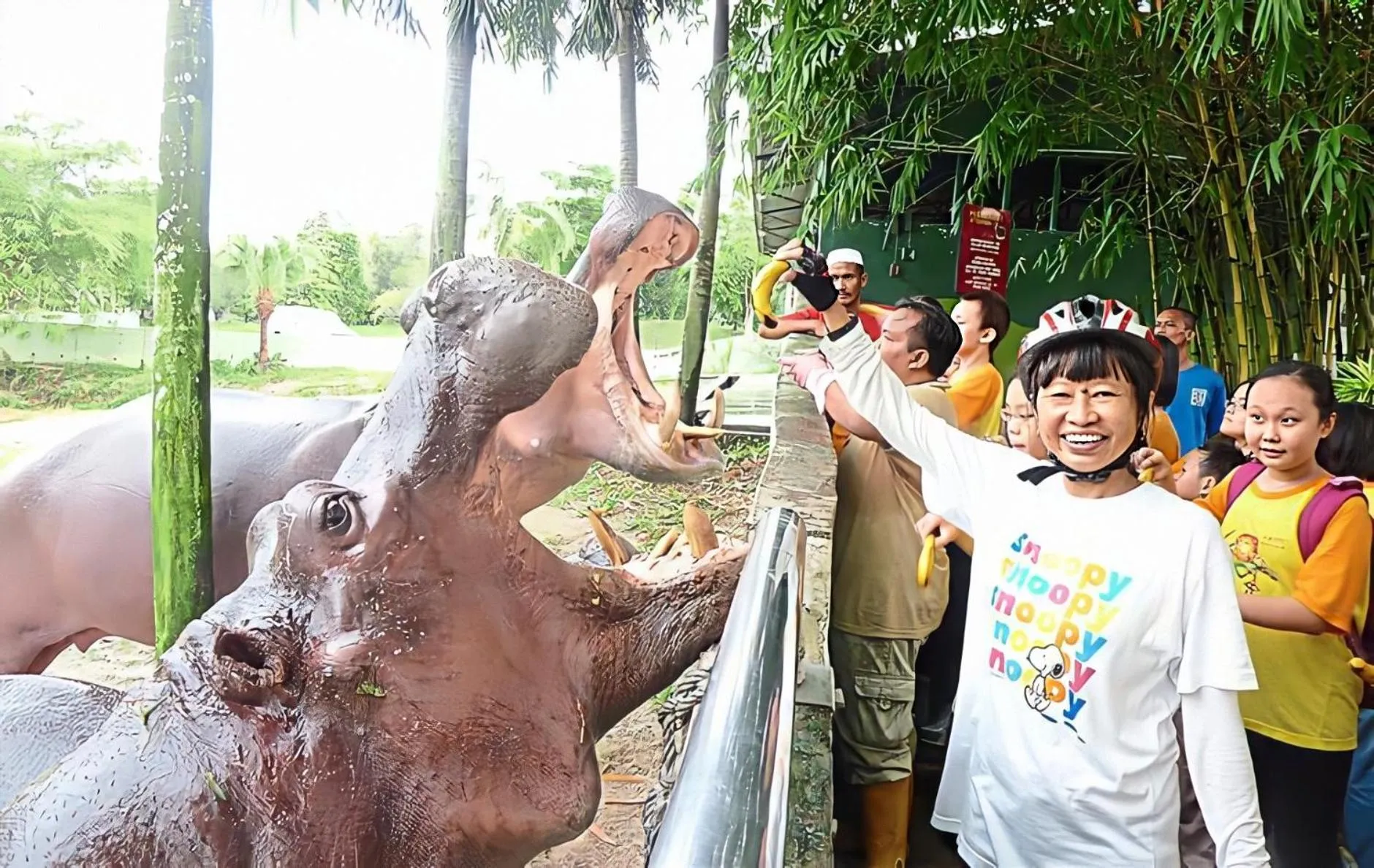 Animals in Terminal VIP Lounge @ Near KLIA Sepang