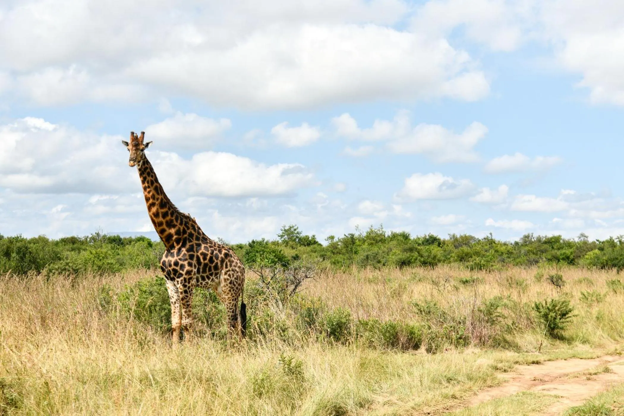 Activities in The Springbok Lodge