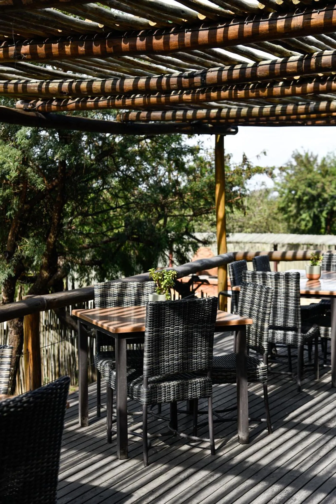 Dining area in The Springbok Lodge