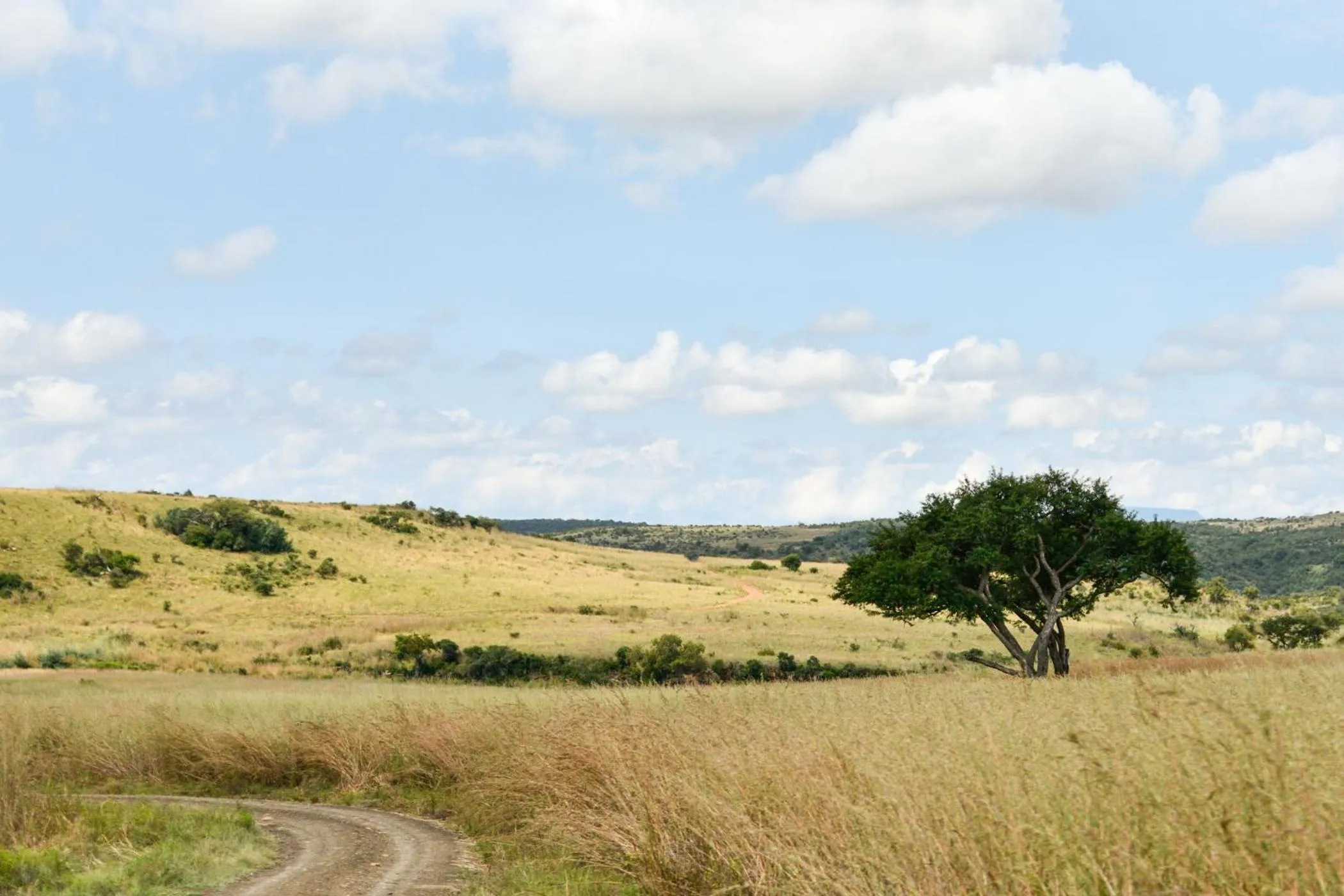 View (from property/room) in The Springbok Lodge