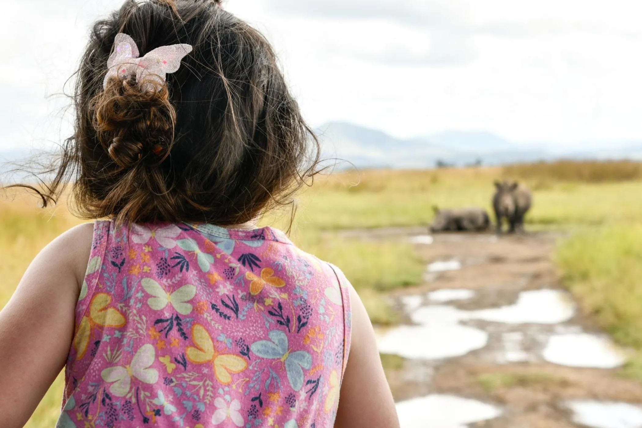 Activities in The Springbok Lodge