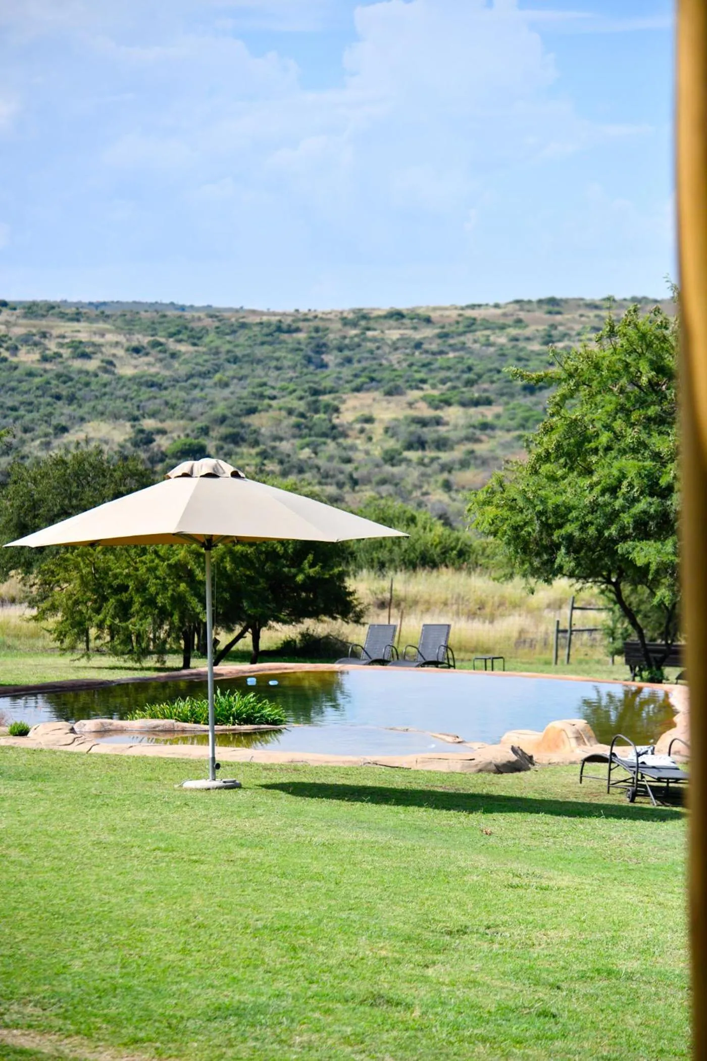 Pool view in The Springbok Lodge