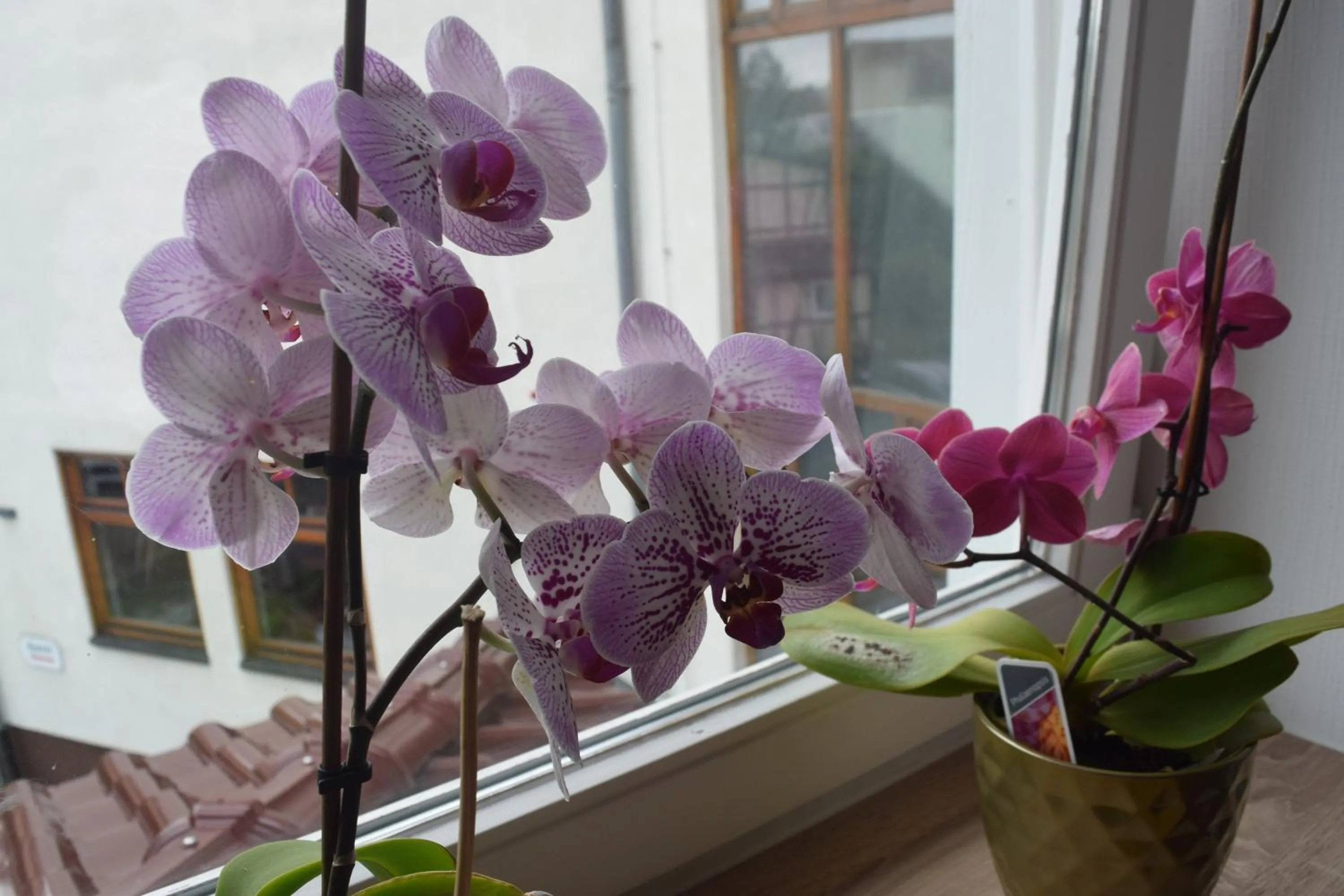 Staff in HOTEL BIKE & HIKE