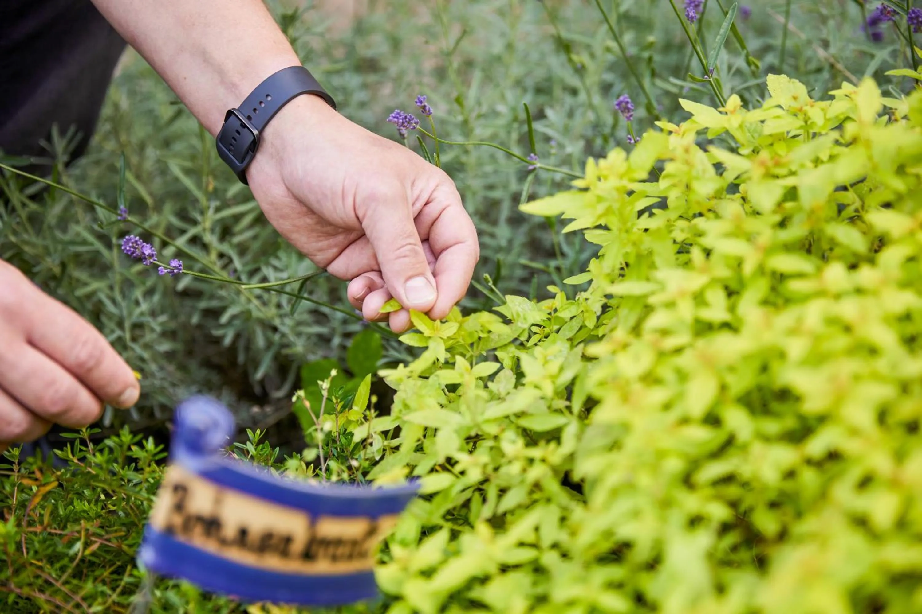 Spring in Landhaus Schieder