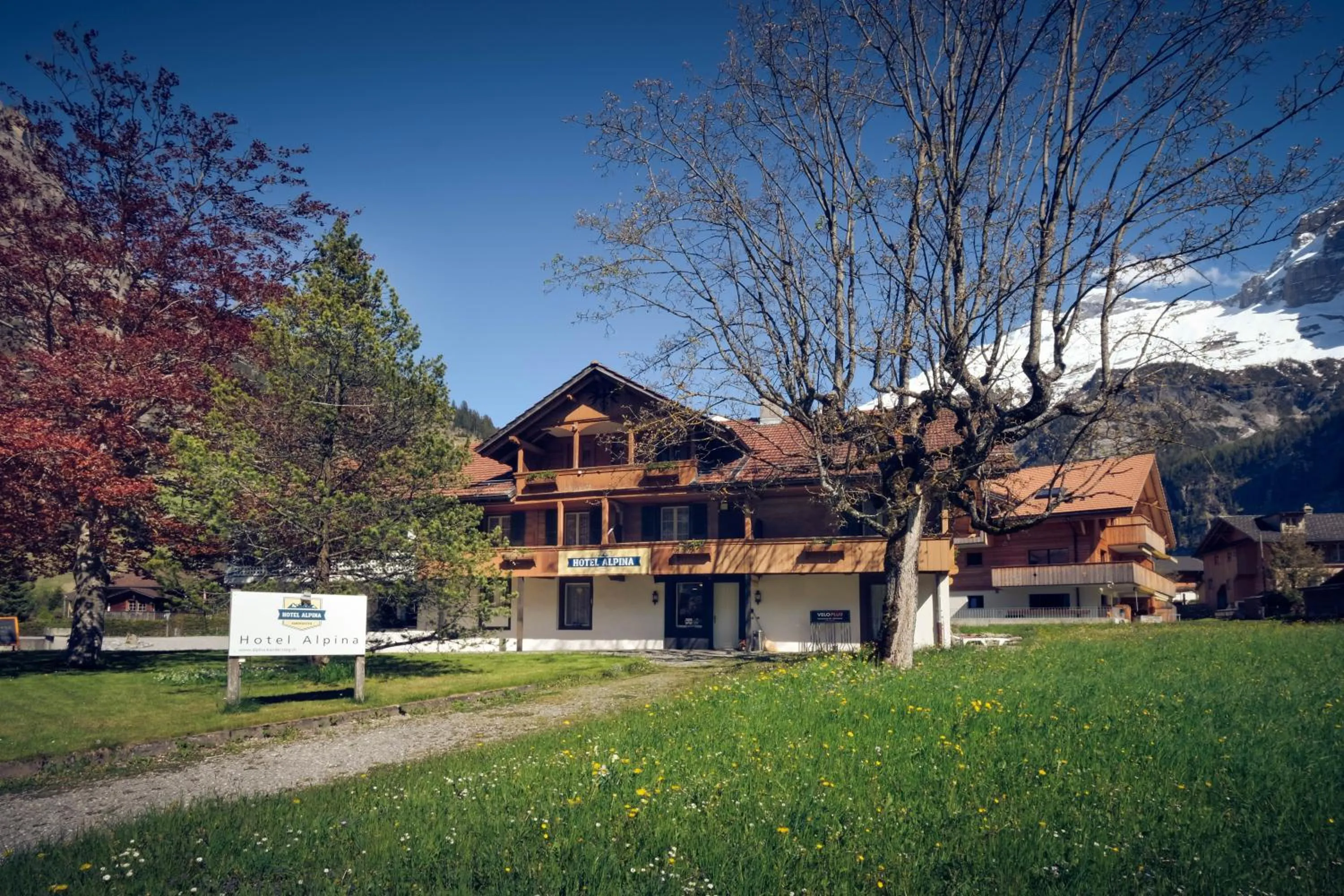Hotel Alpina
