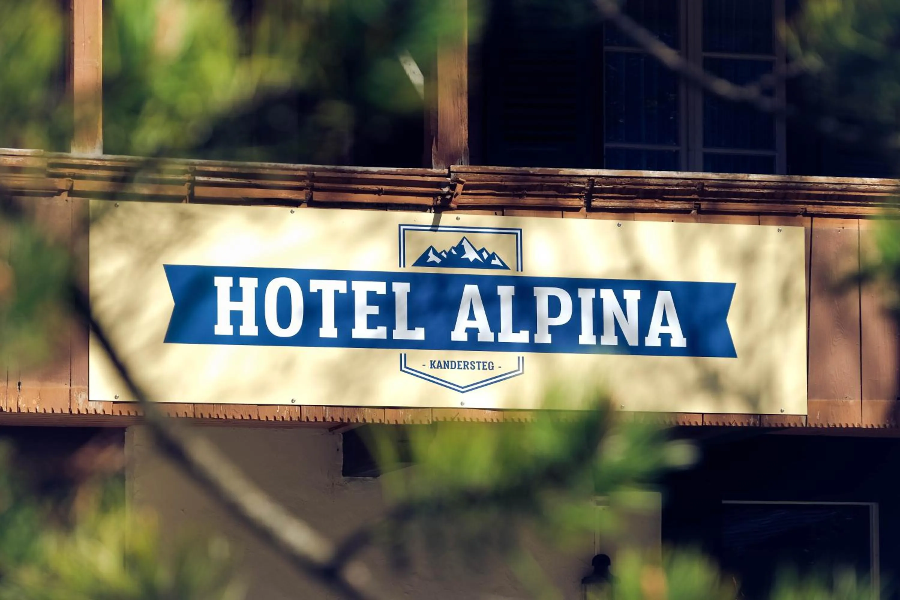 Hotel Alpina