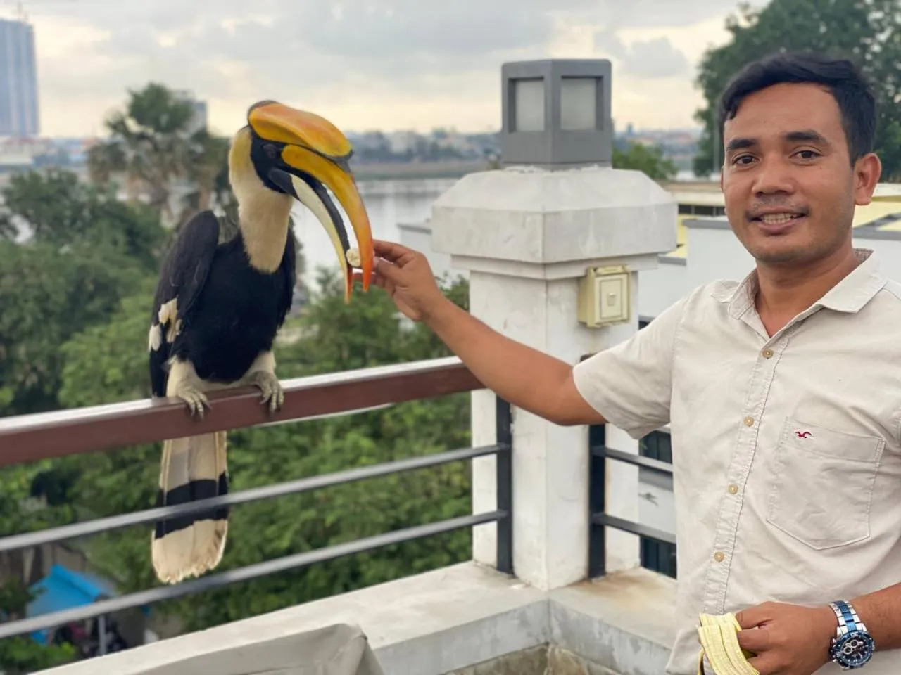 People in Pooltop Phnom Penh