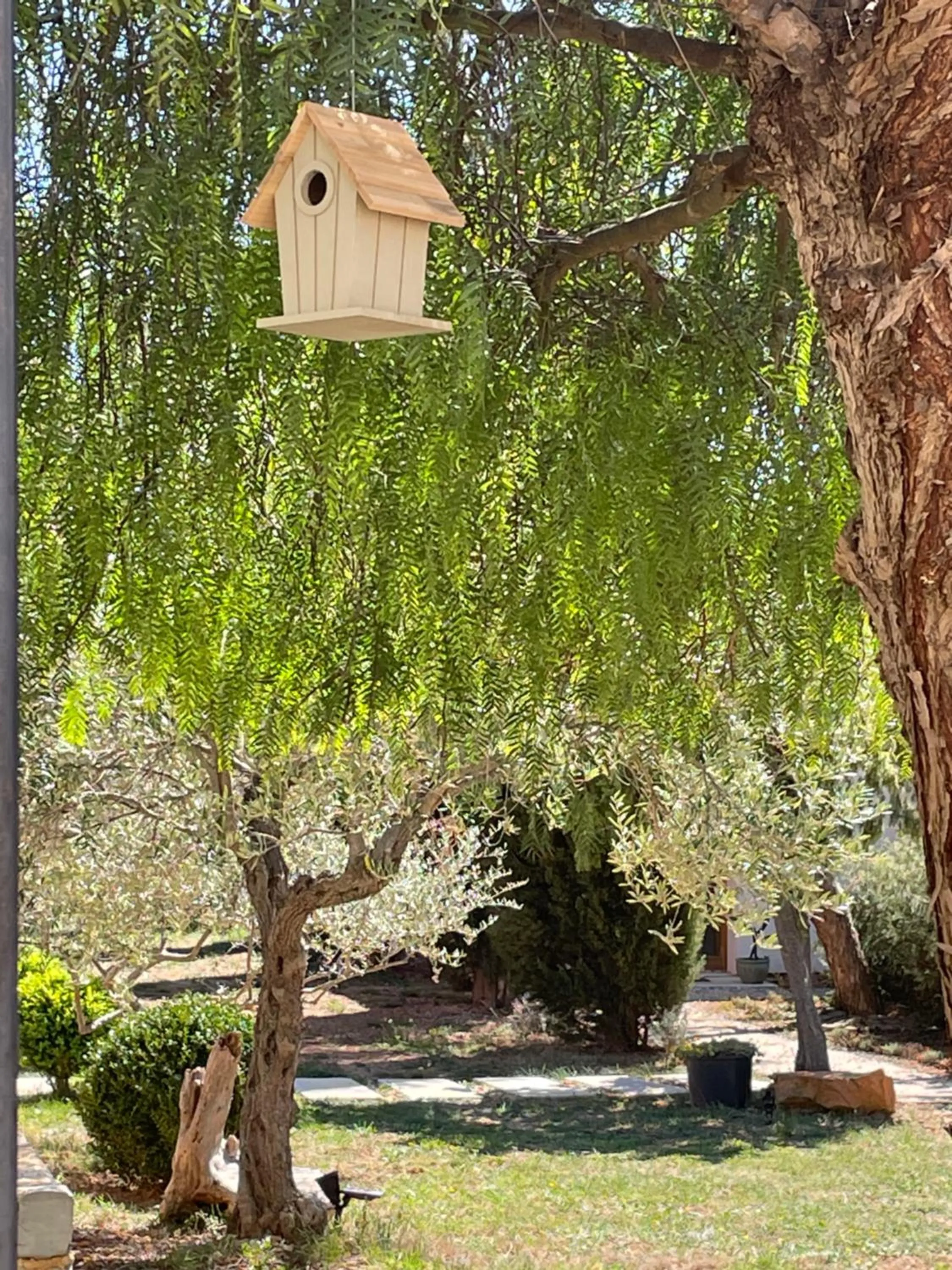 Garden view in 4u Bed & Spa