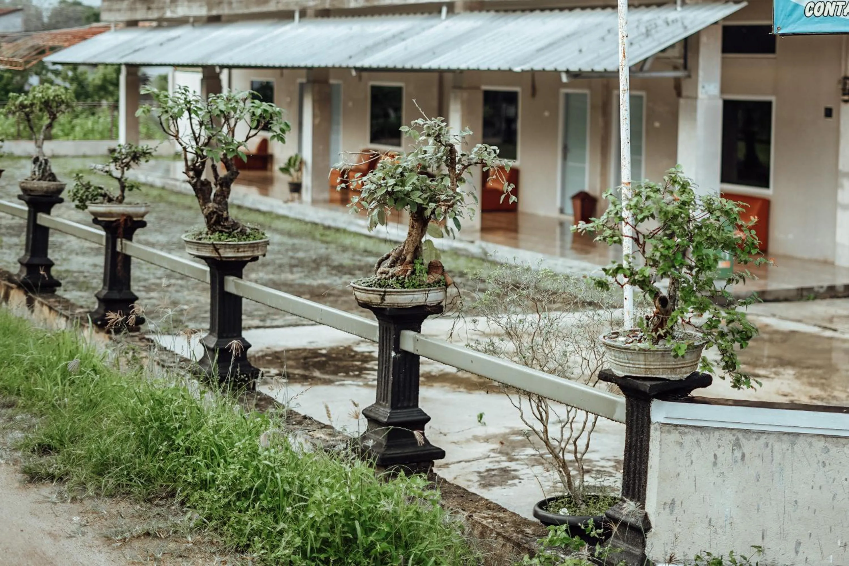 Facade/entrance in Pondok Kelapa Homestay near Unila Lampung RedPartner